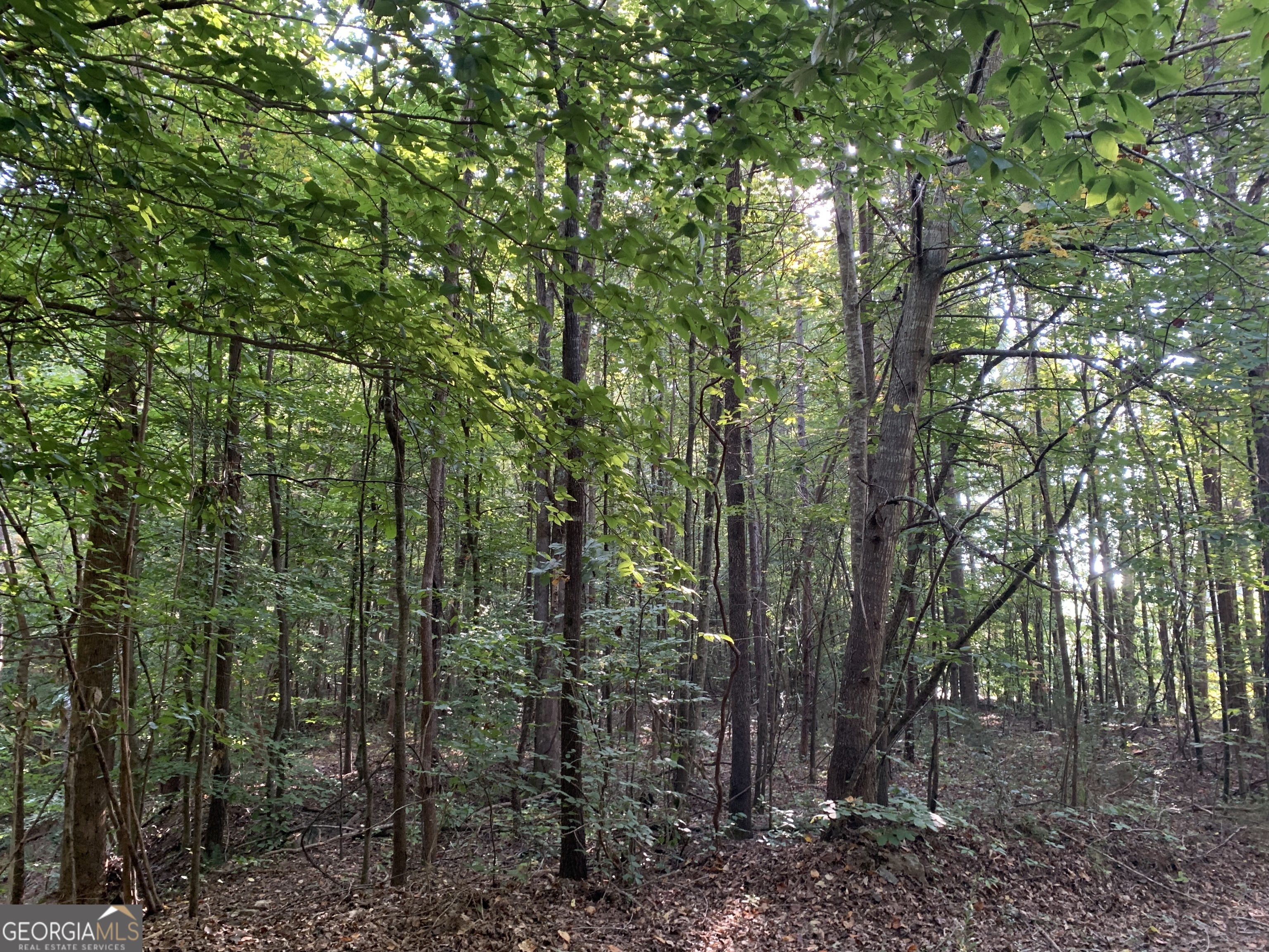 5.10 Acres Hwy 123 Property Photo 6