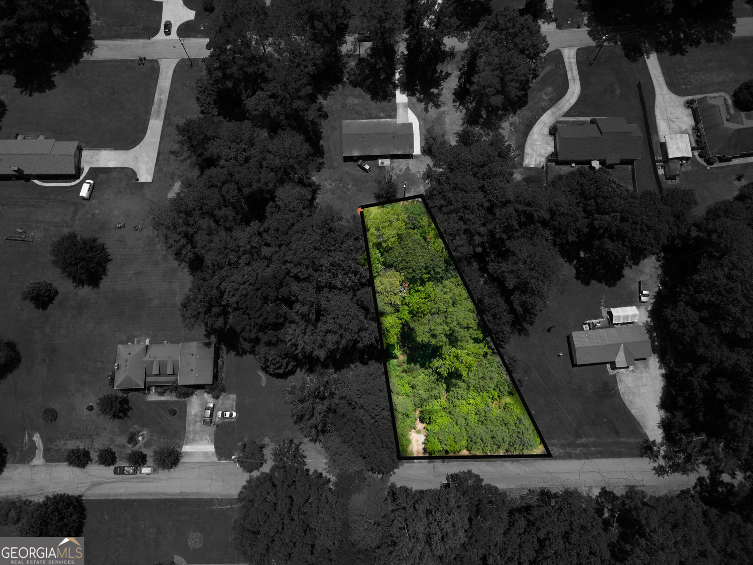 10161 N Dinah Circle Property Photo 4