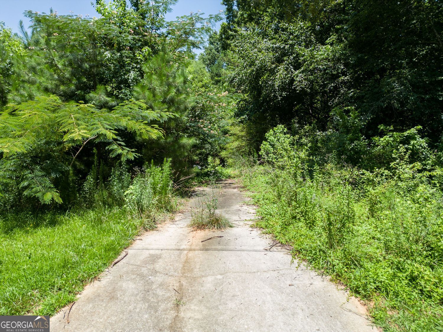 185 Mountain View Circle Property Photo 3