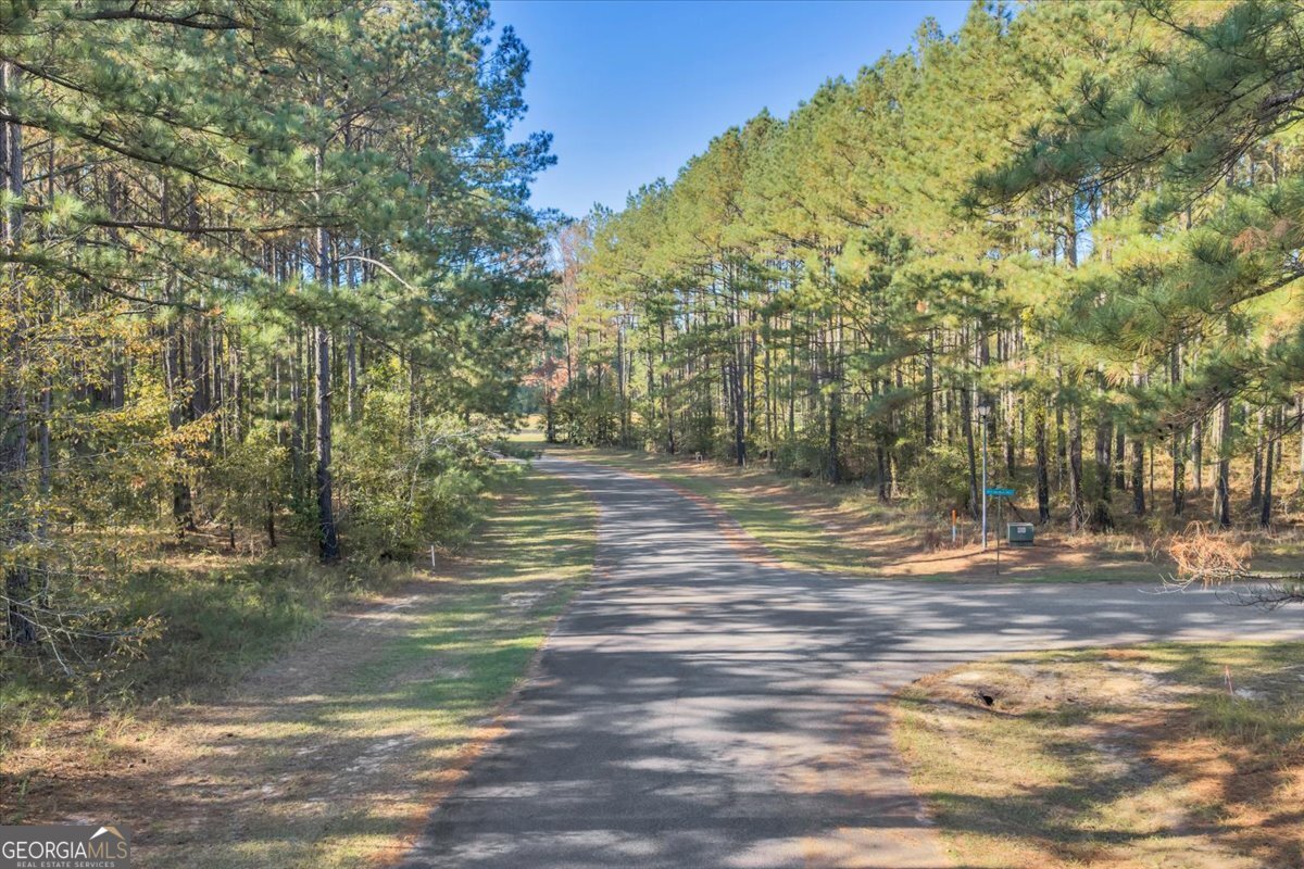 Lot 42 Sweet Magnolia Circle Property Photo 4