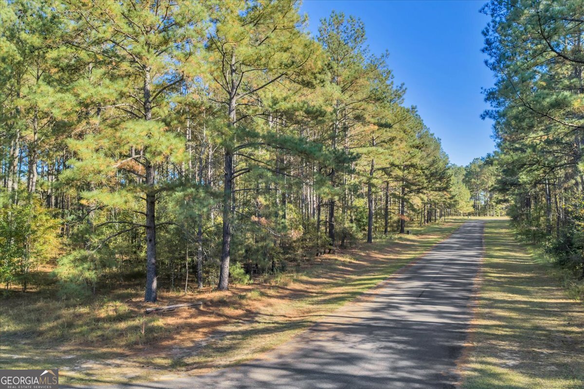 Lot 42 Sweet Magnolia Circle Property Photo 11