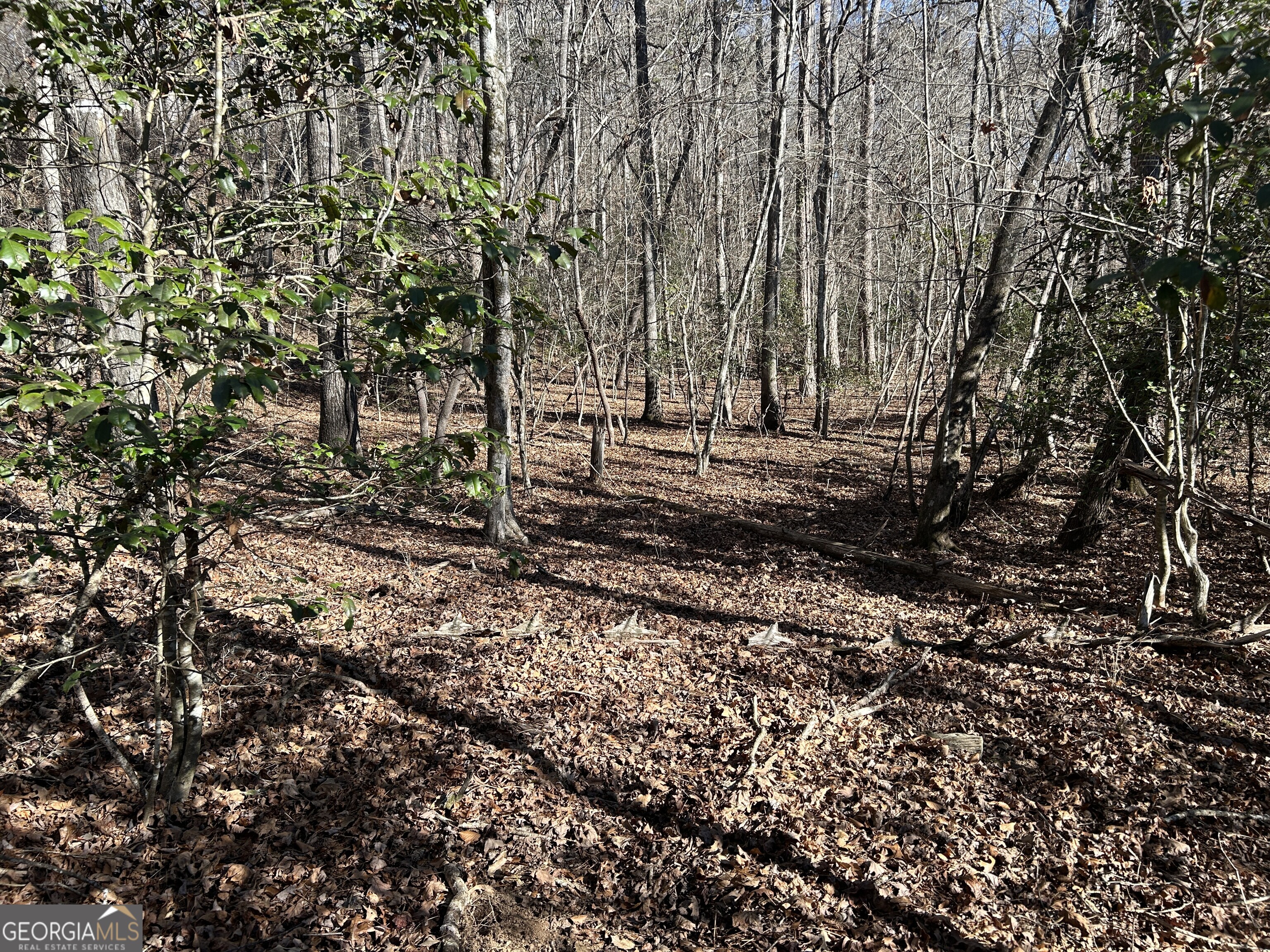 0 Twin River Orchard Road # 1 Property Photo 10