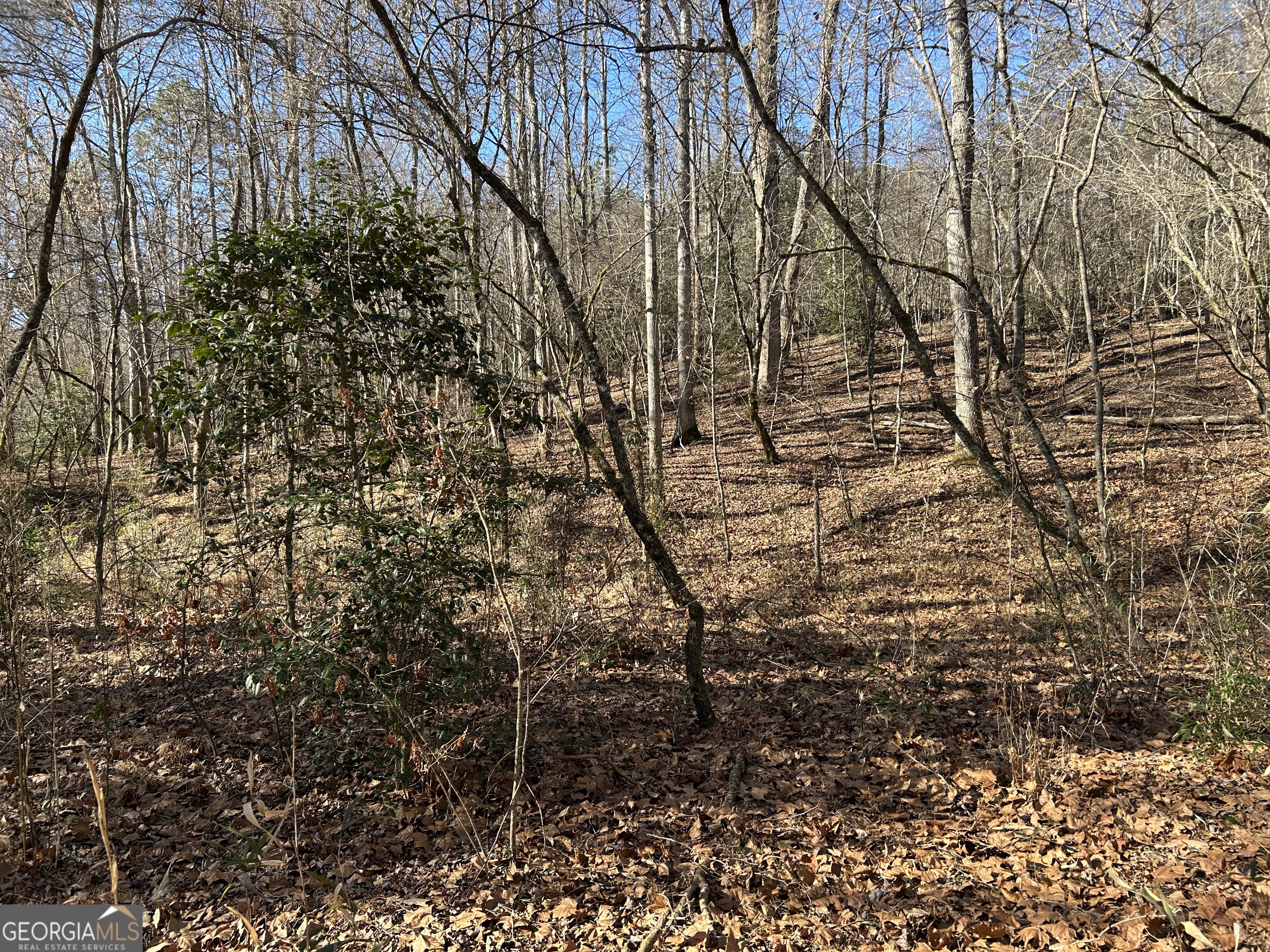 0 Twin River Orchard Road # 1 Property Photo 13