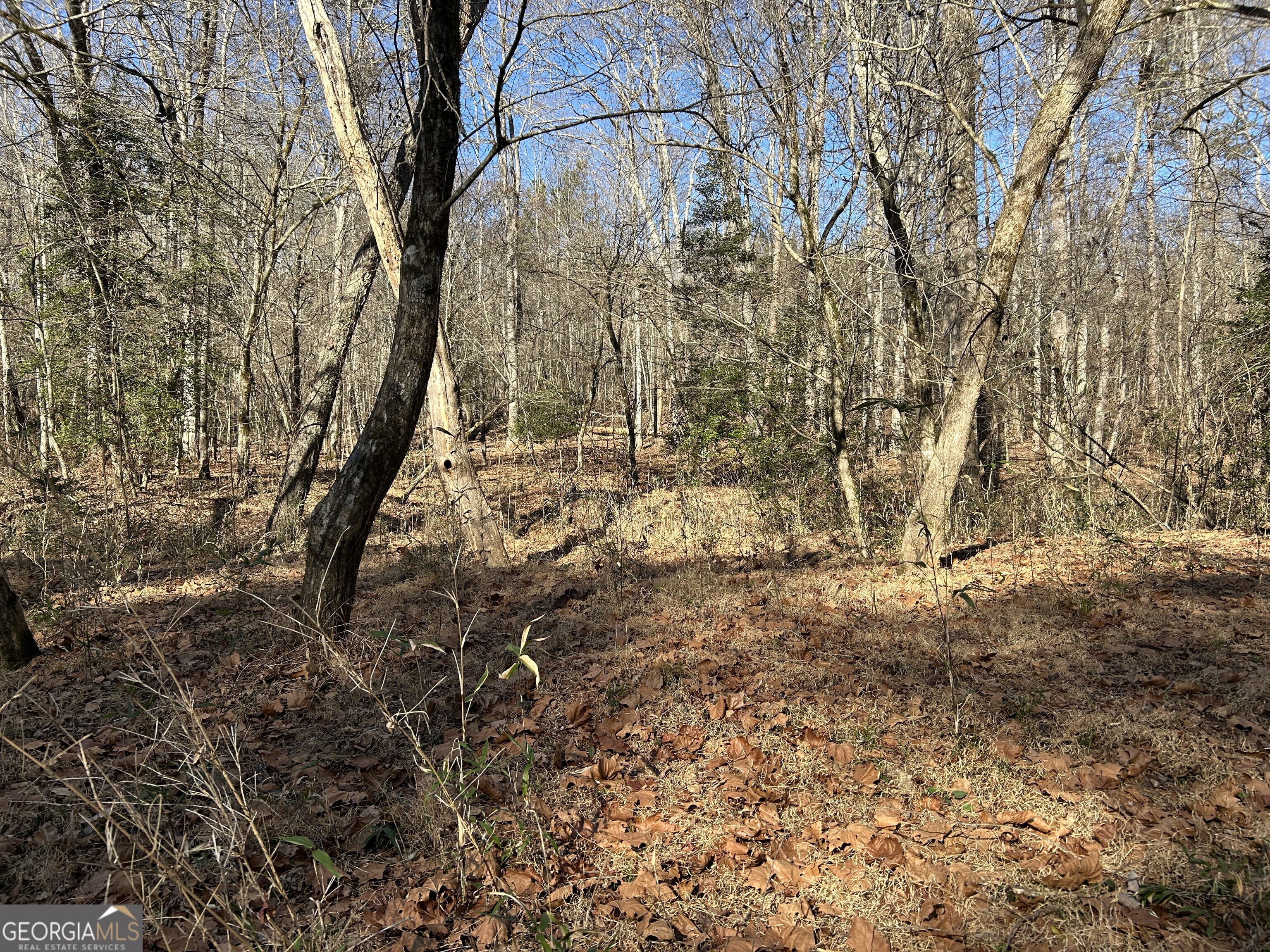 0 Twin River Orchard Road # 1 Property Photo 16