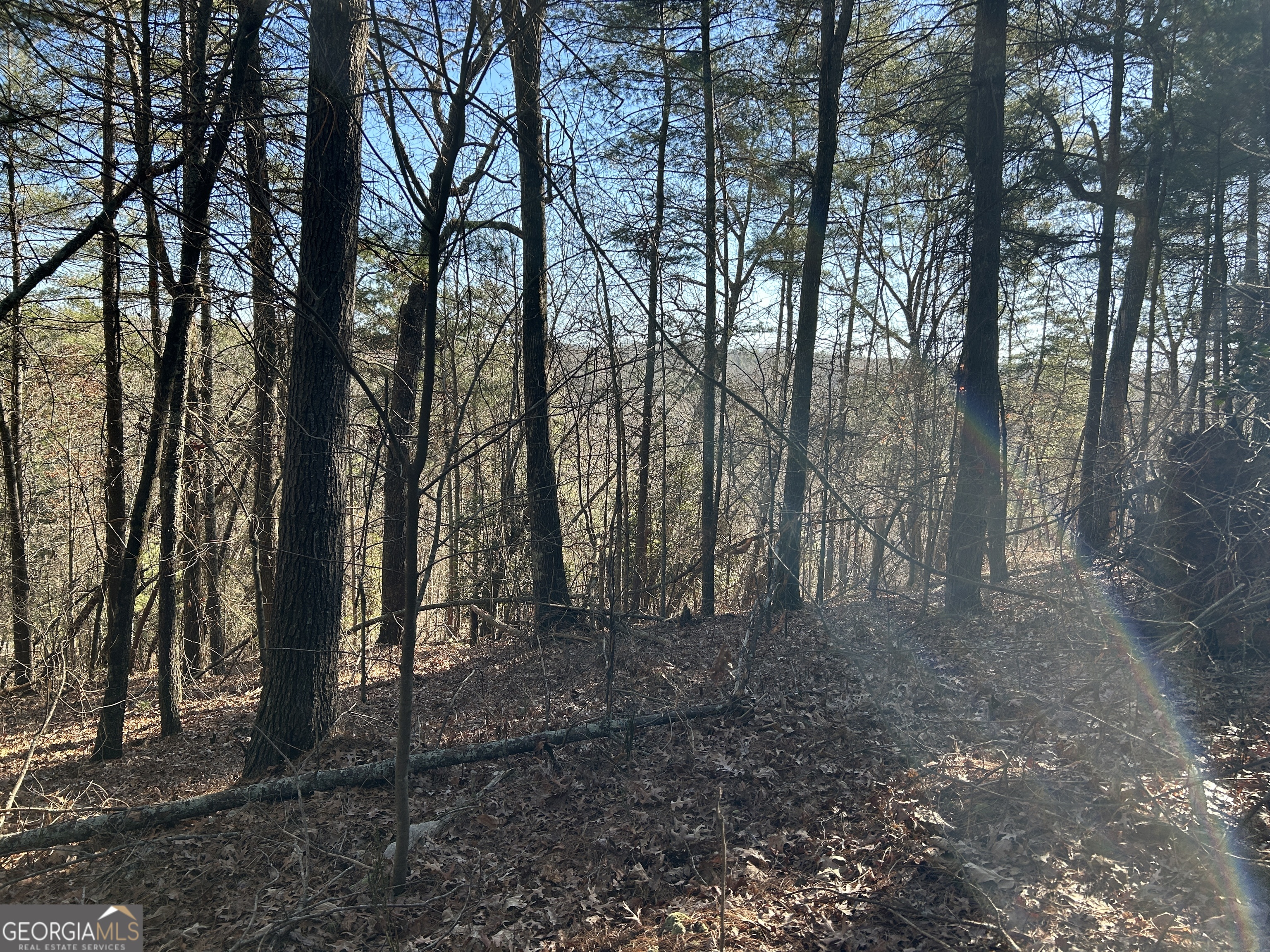 0 Twin River Orchard Road # 4 Property Photo 1