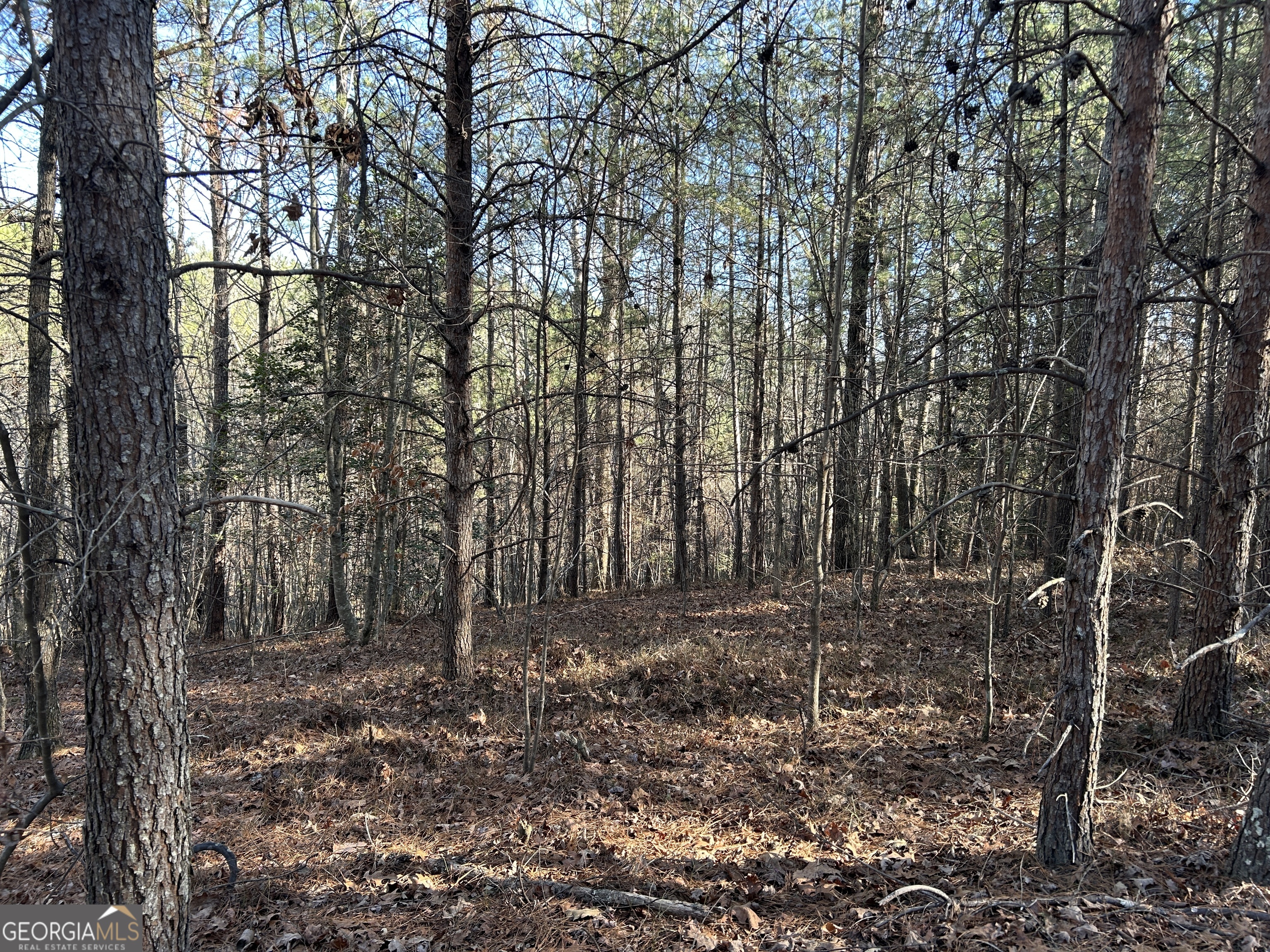 0 Twin River Orchard Road # 4 Property Photo 2