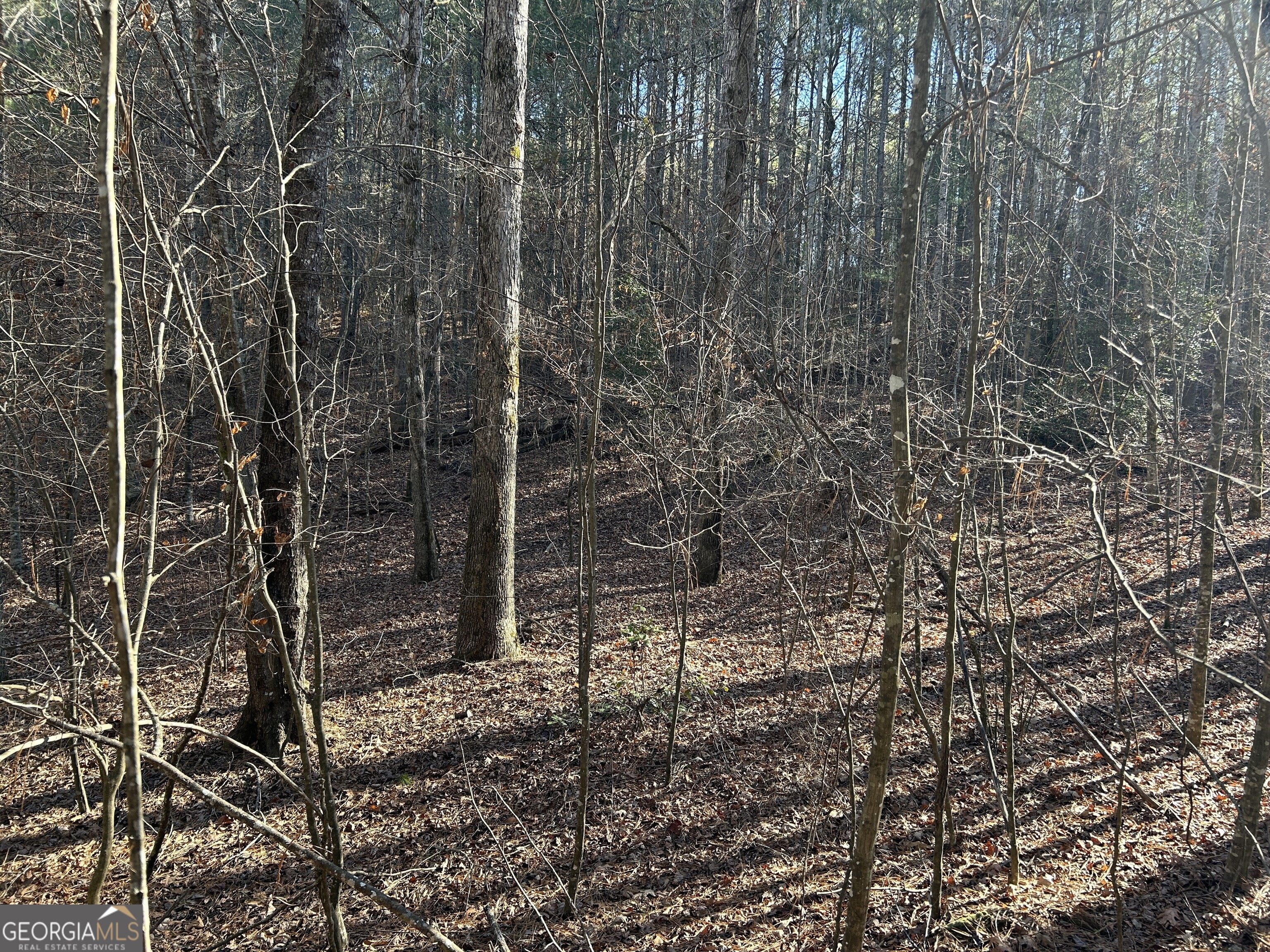 0 Twin River Orchard Road # 4 Property Photo 5