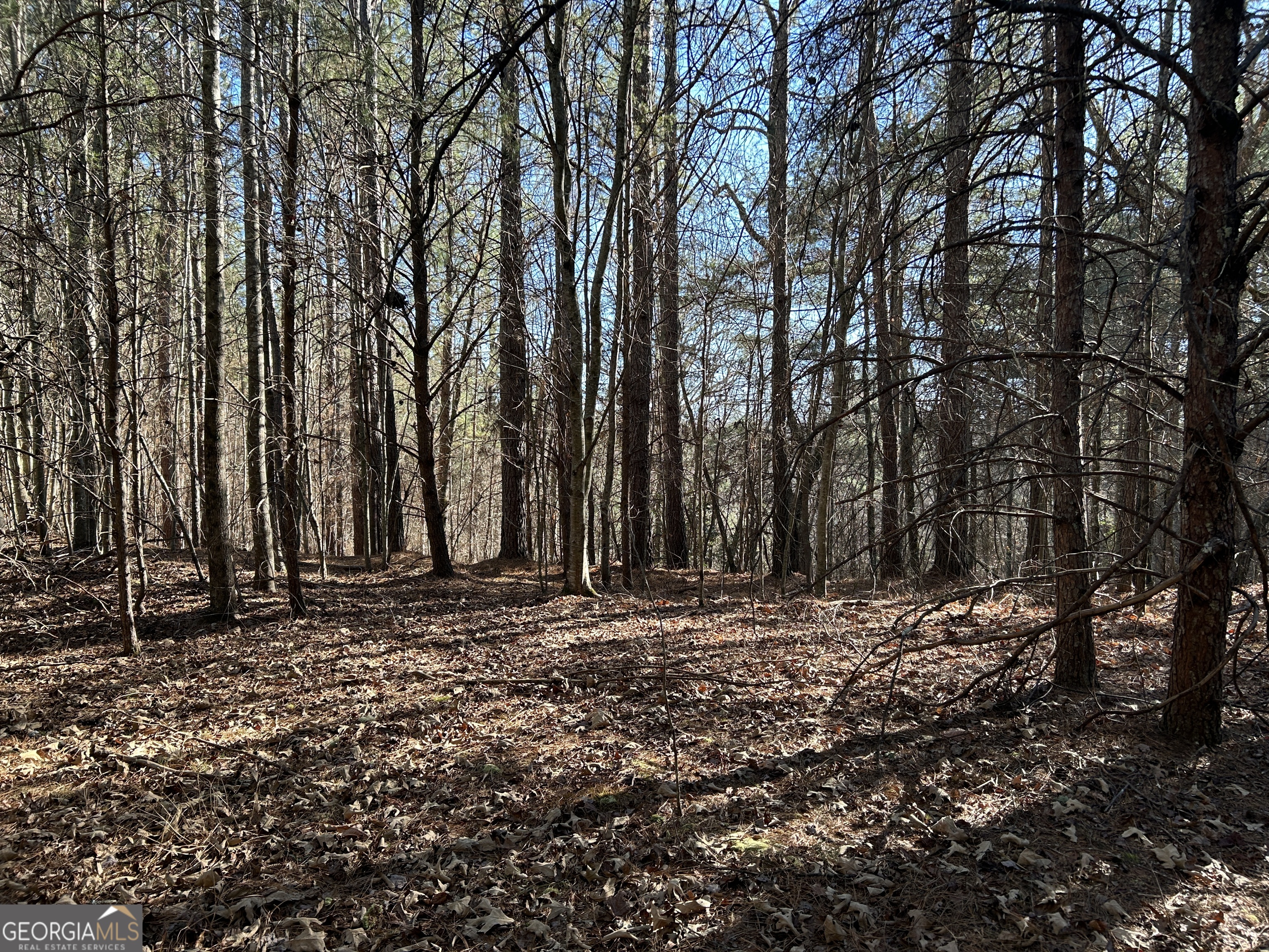 0 Twin River Orchard Road # 4 Property Photo 8