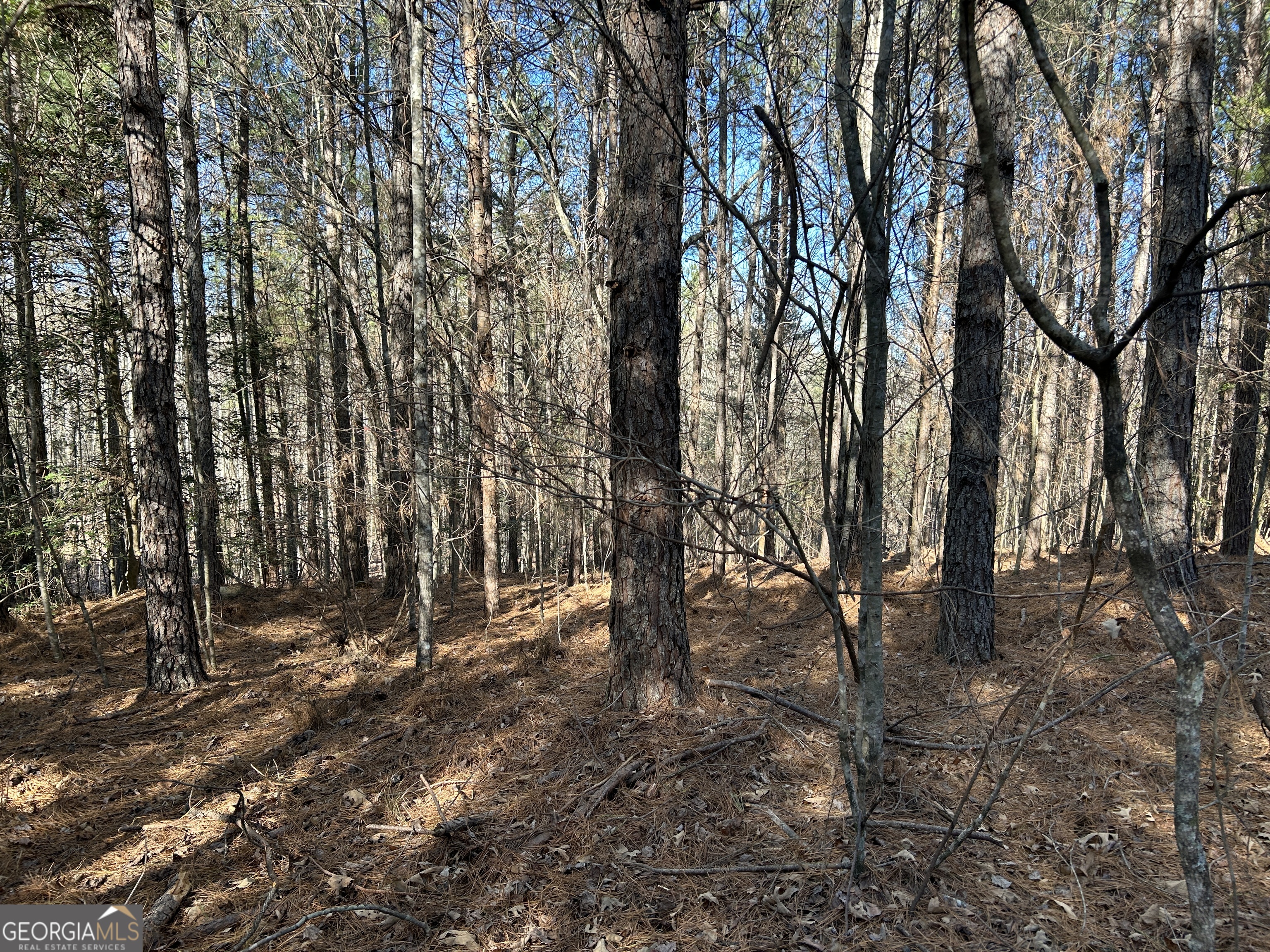 0 Twin River Orchard Road # 4 Property Photo 9