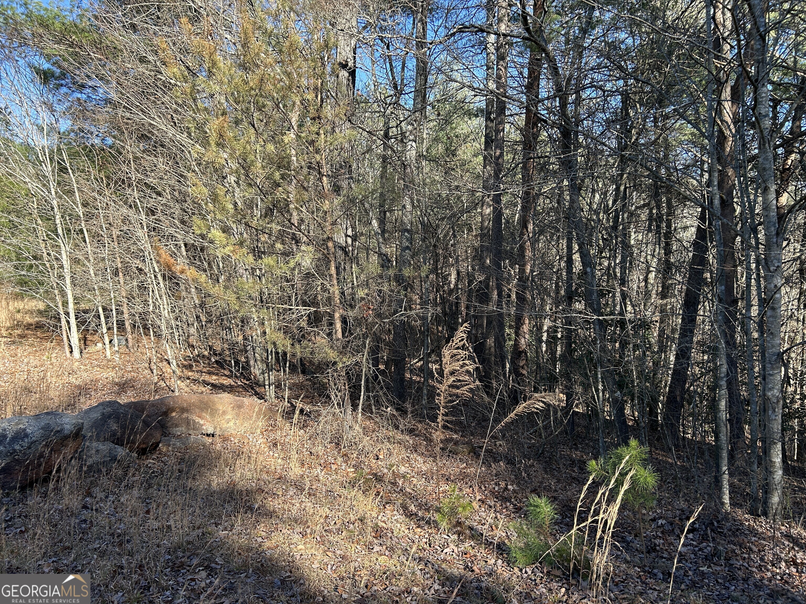 0 Twin River Orchard Road # 4 Property Photo 10