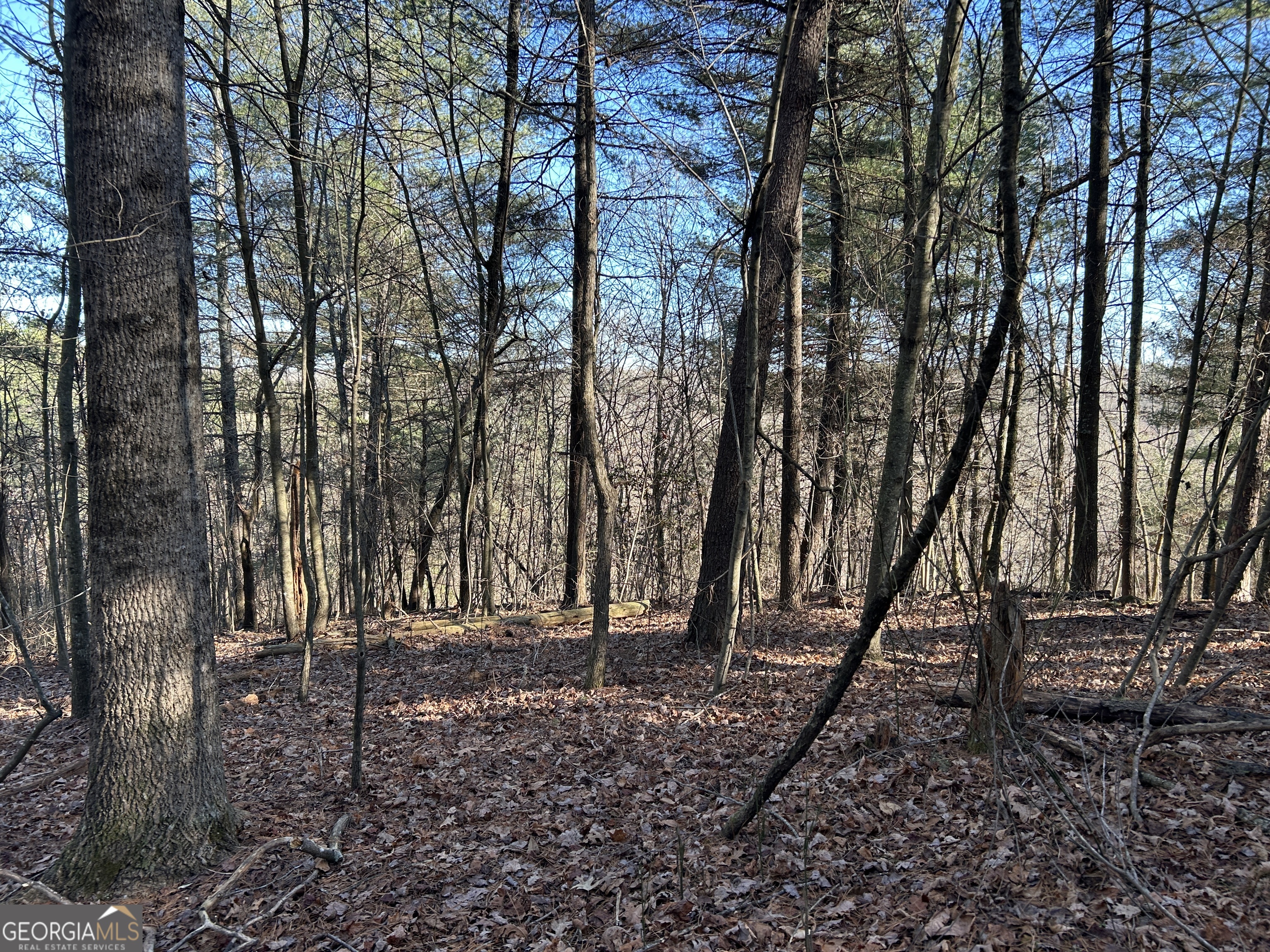 0 Twin River Orchard Road # 4 Property Photo 11