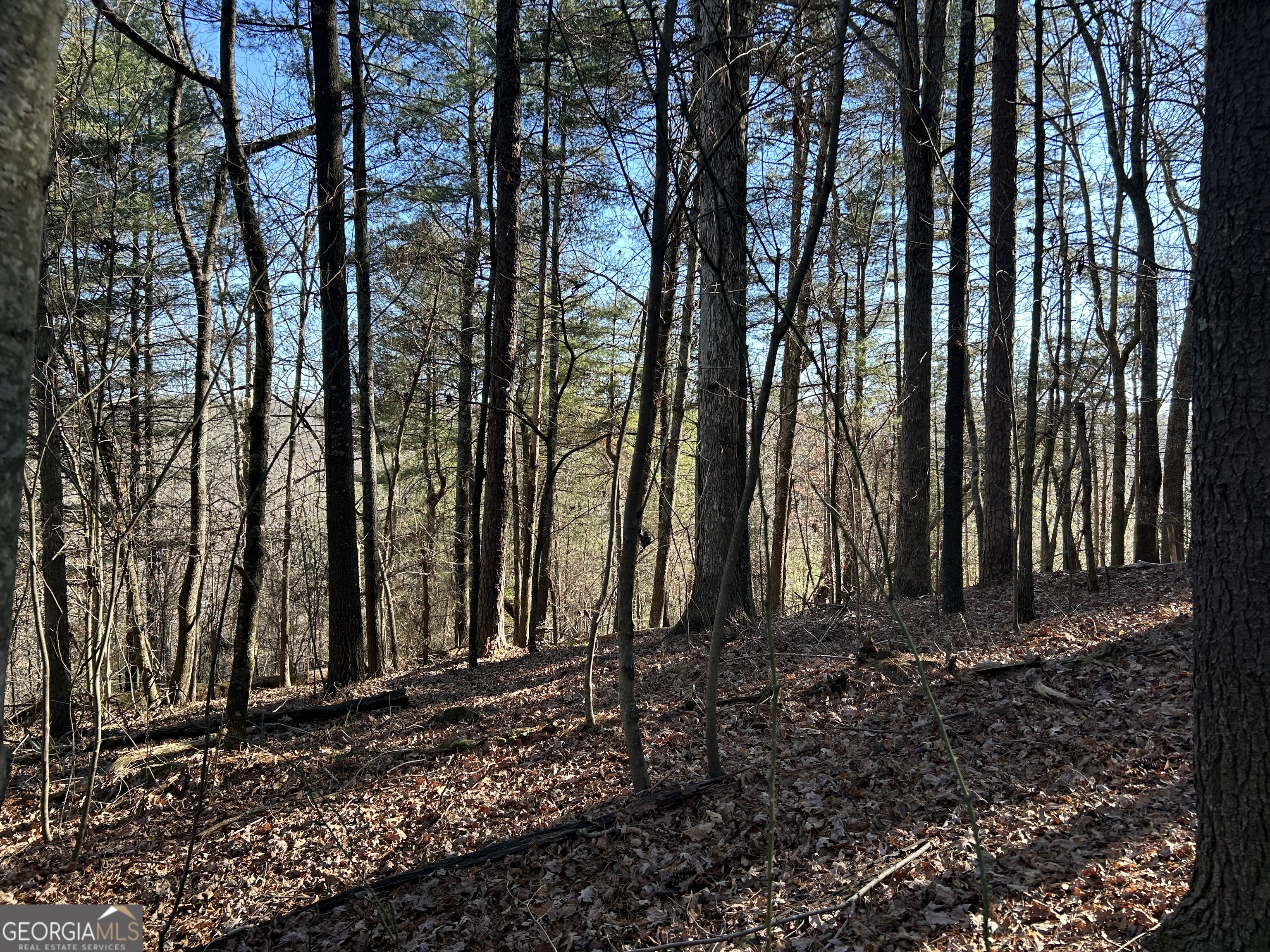0 Twin River Orchard Road # 4 Property Photo 12