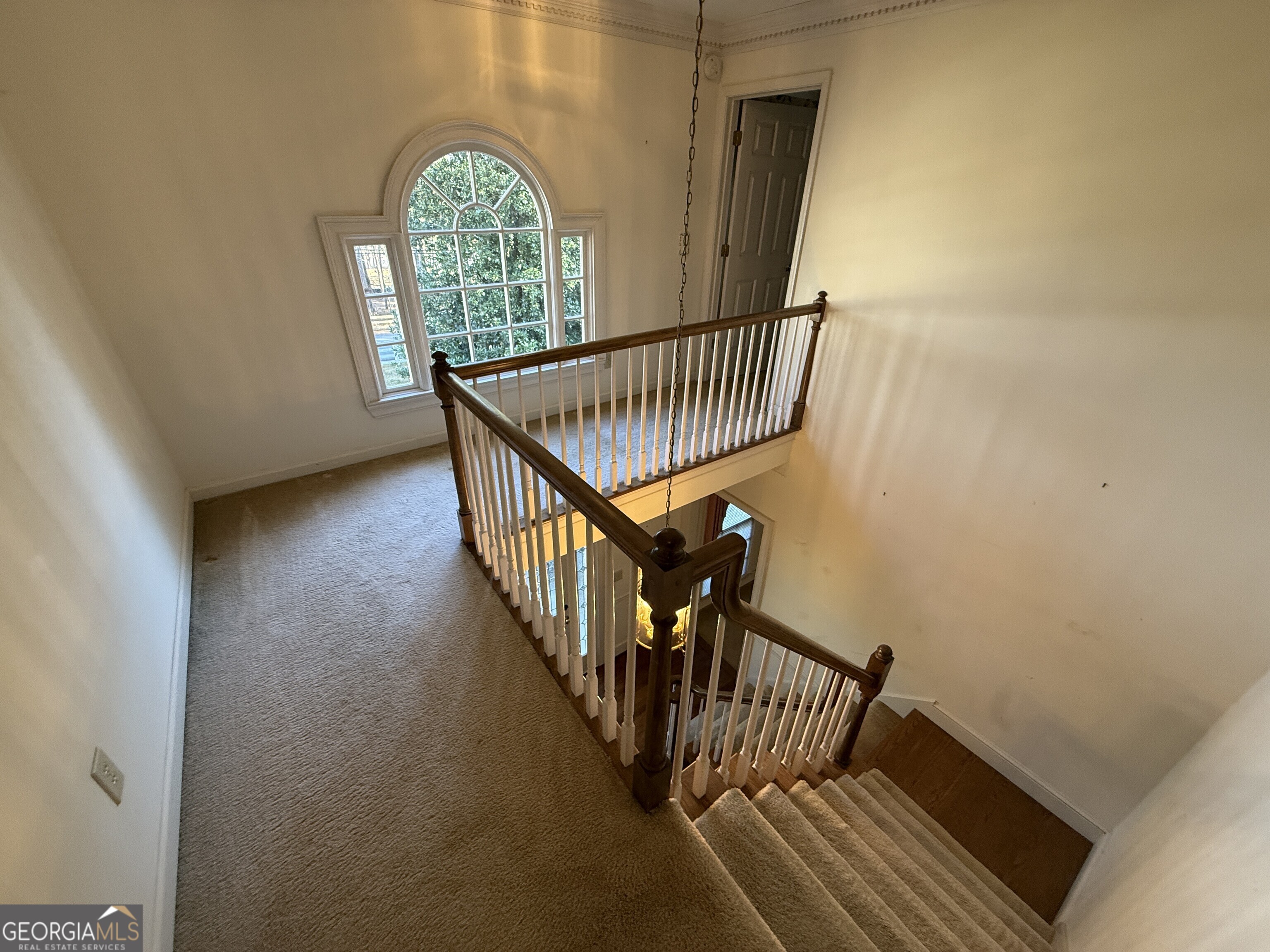 407 Shoni Lane Property Photo 35