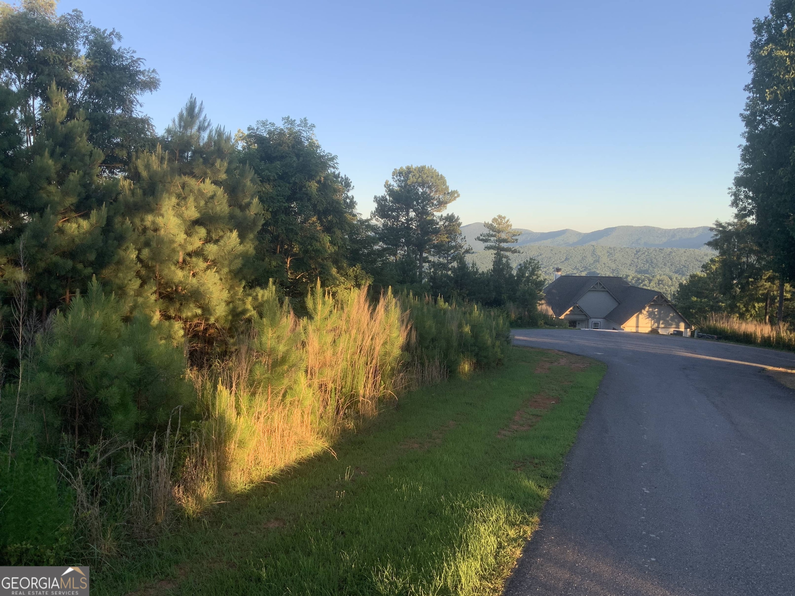0 Mile High Property Photo 14