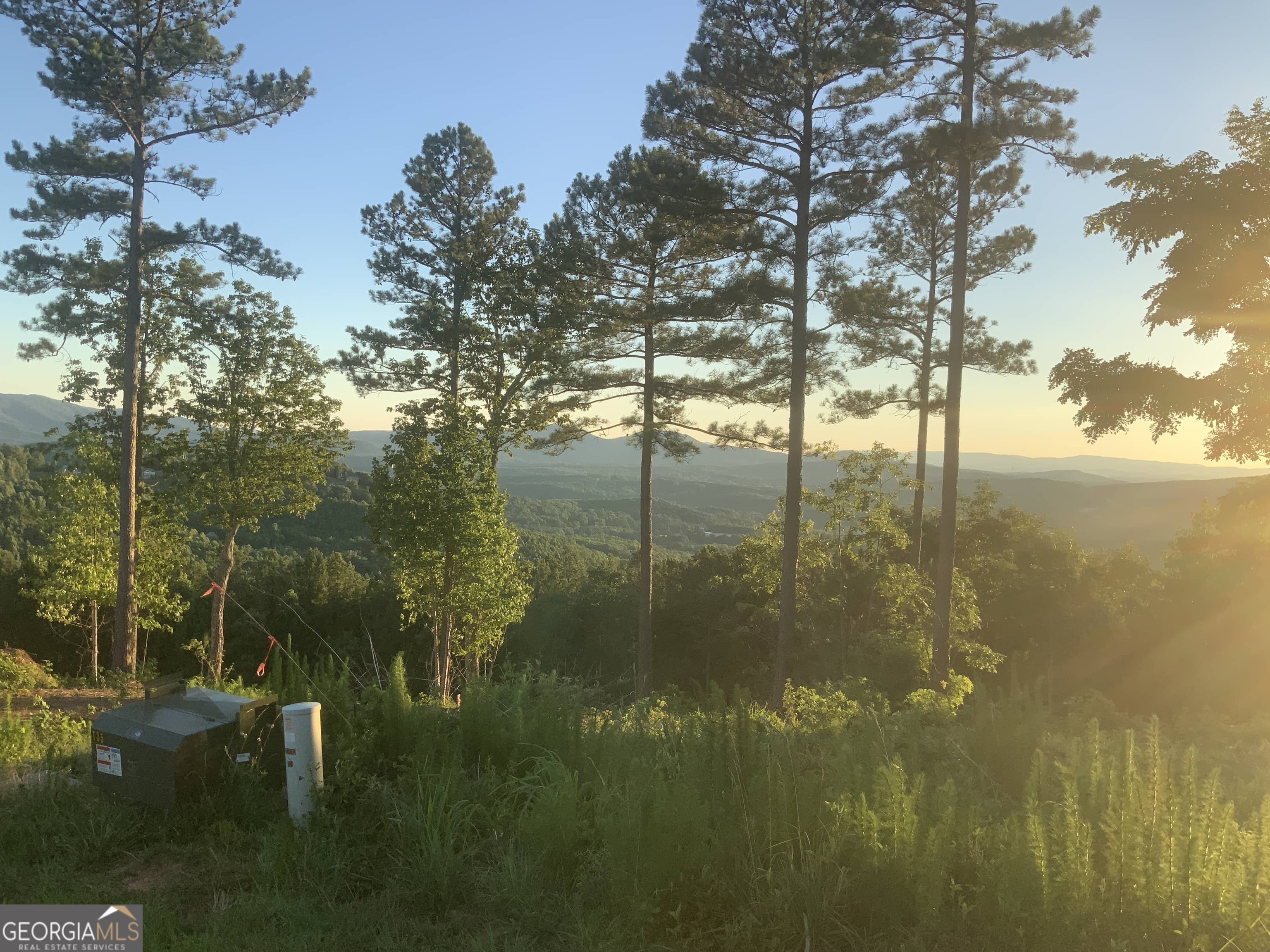 0 Mile High Property Photo 17