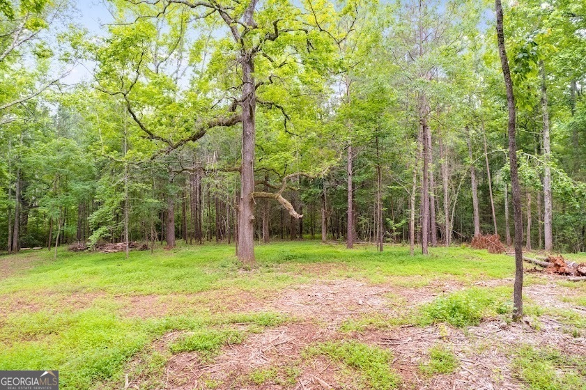 0 Handy Road (7.52 Ac) Property Photo 1