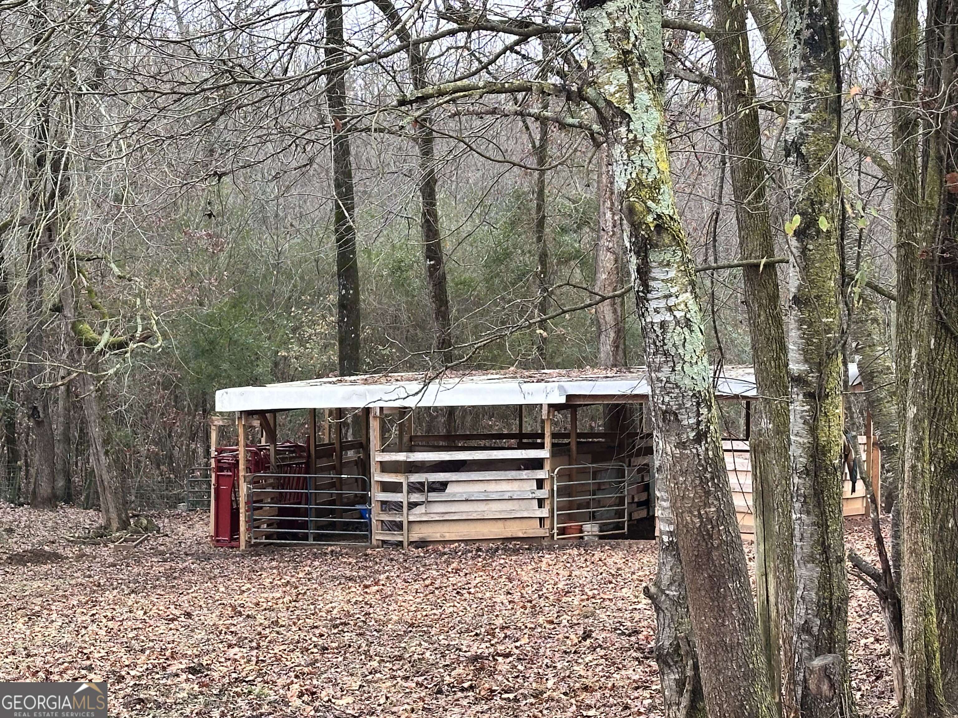 2015 Highway 59 Property Photo 13