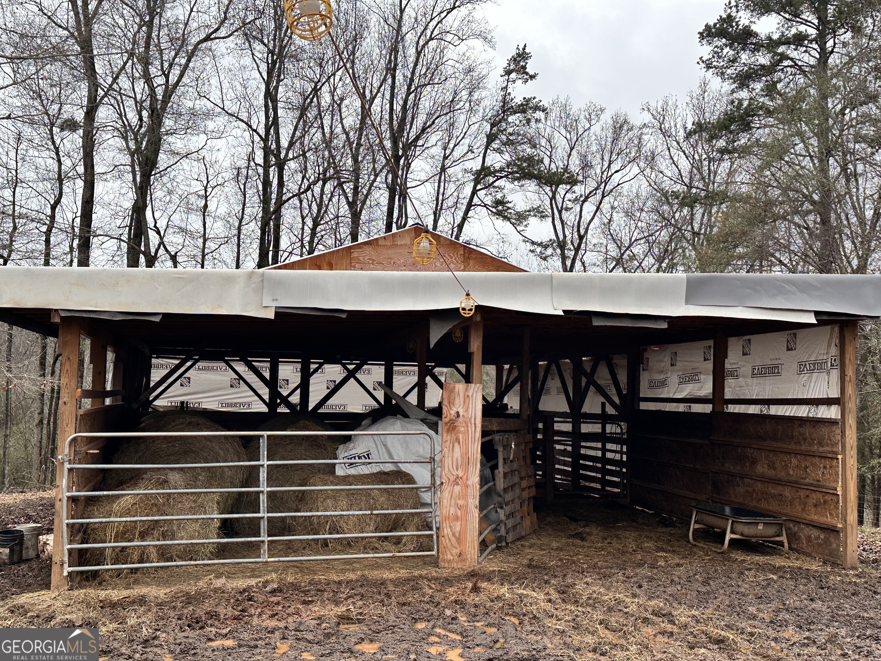 2015 Highway 59 Property Photo 14