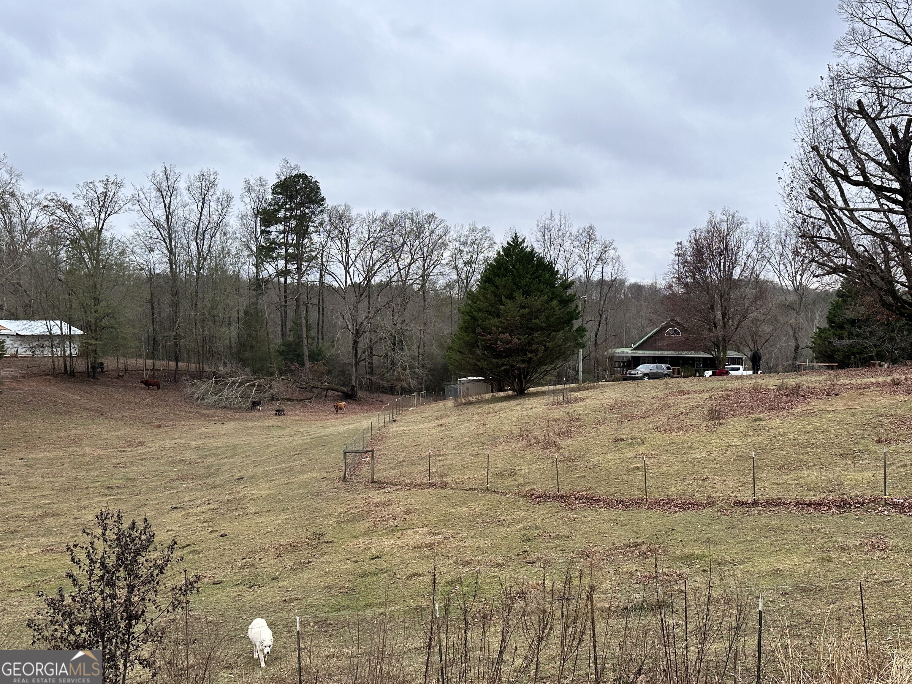 2015 Highway 59 Property Photo 21