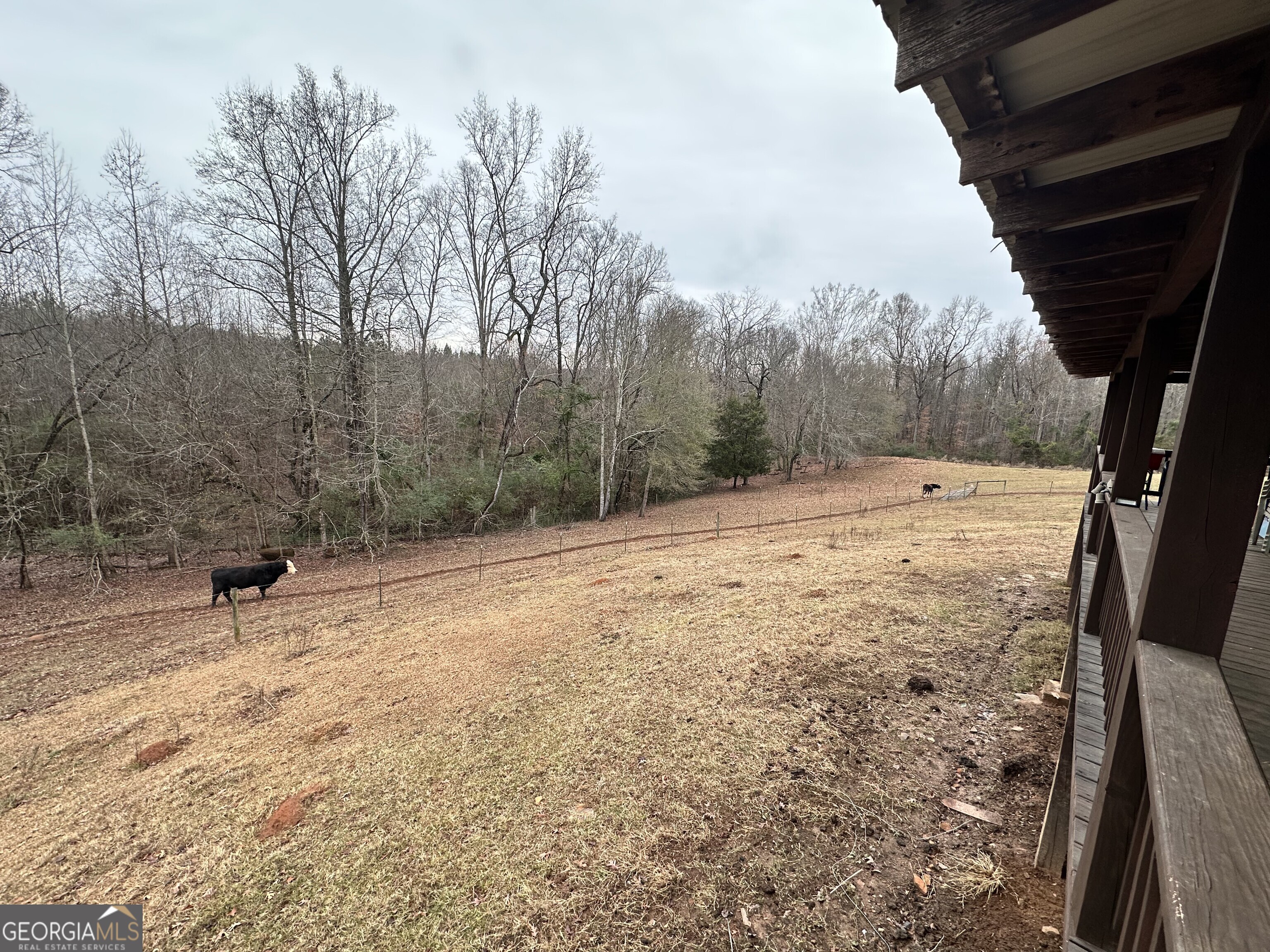 2015 Highway 59 Property Photo 23
