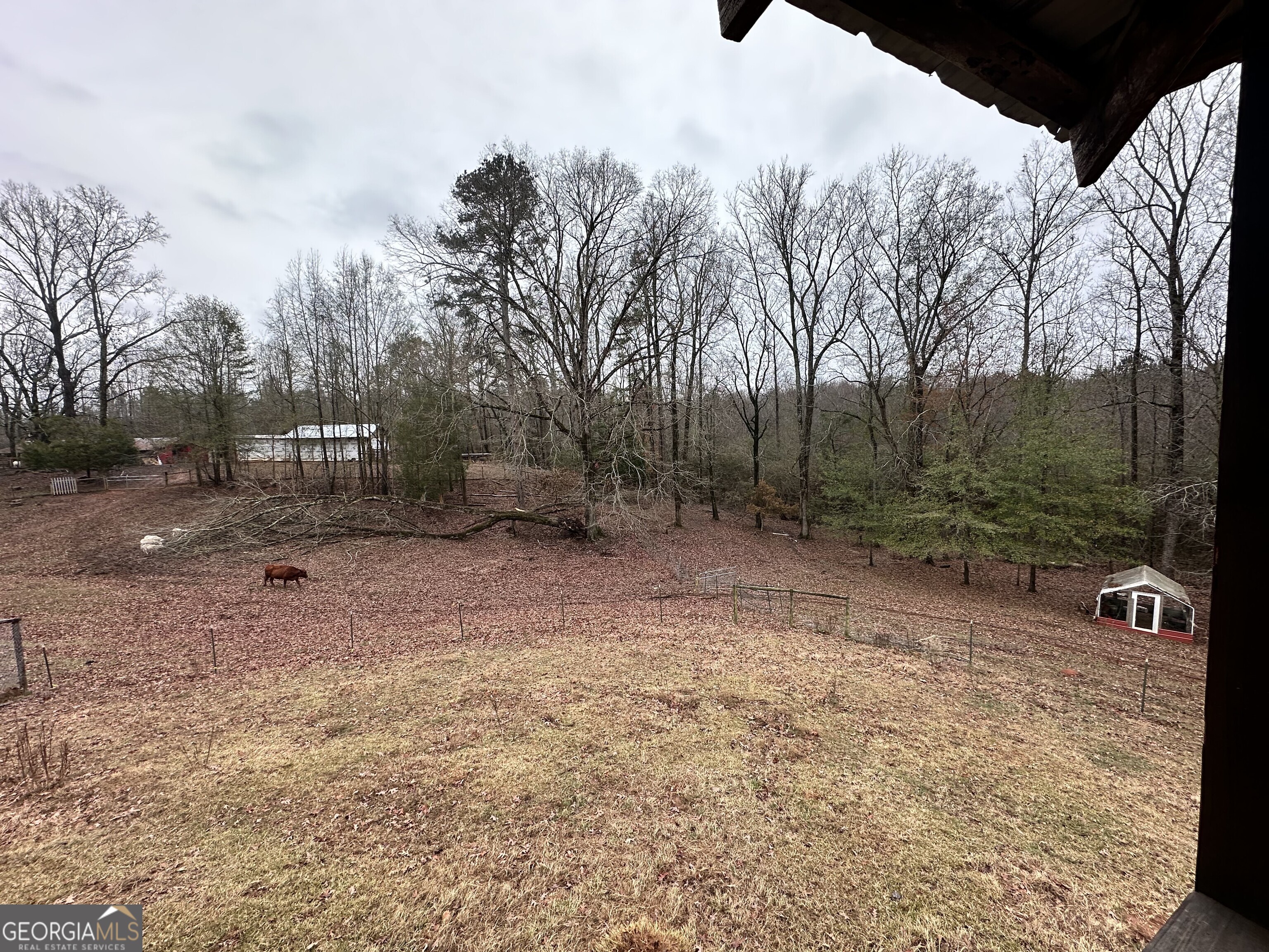 2015 Highway 59 Property Photo 24