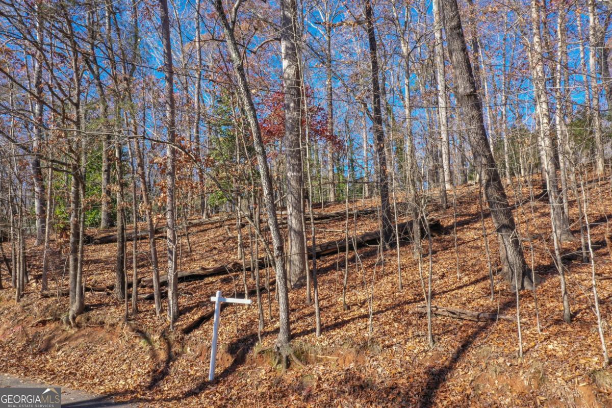 3442 Jet Wright Road Property Photo 13