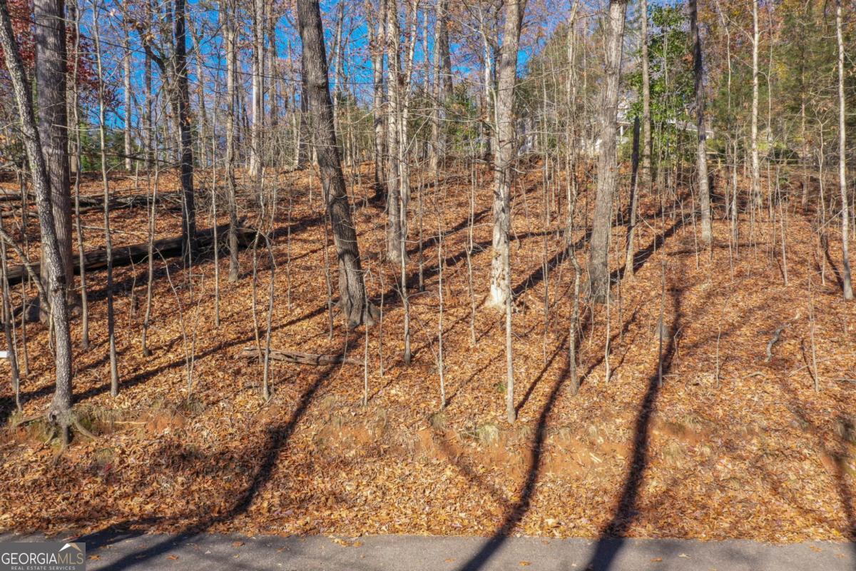 3442 Jet Wright Road Property Photo 14