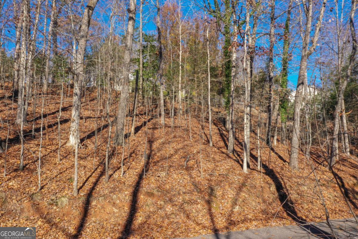 3442 Jet Wright Road Property Photo 15