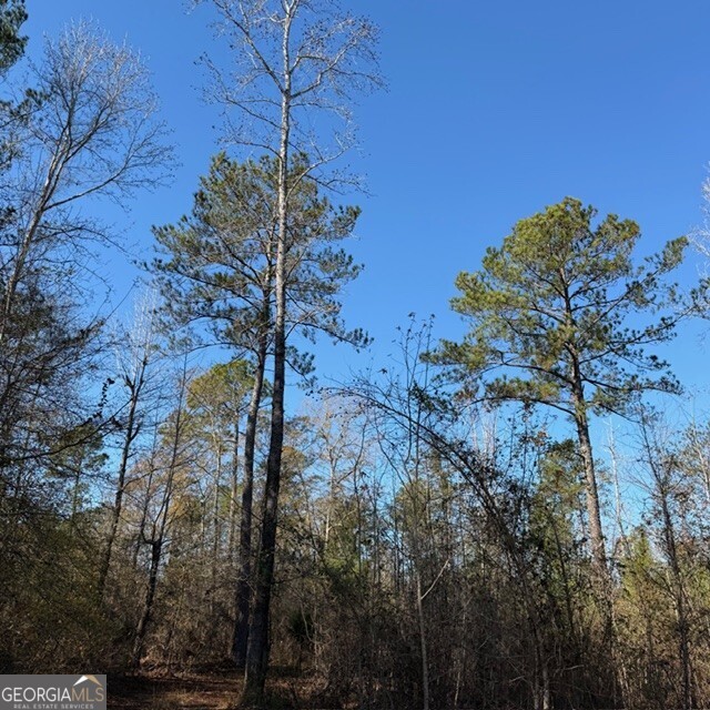 +/- 7.65 Acres Hut Road Property Photo 2