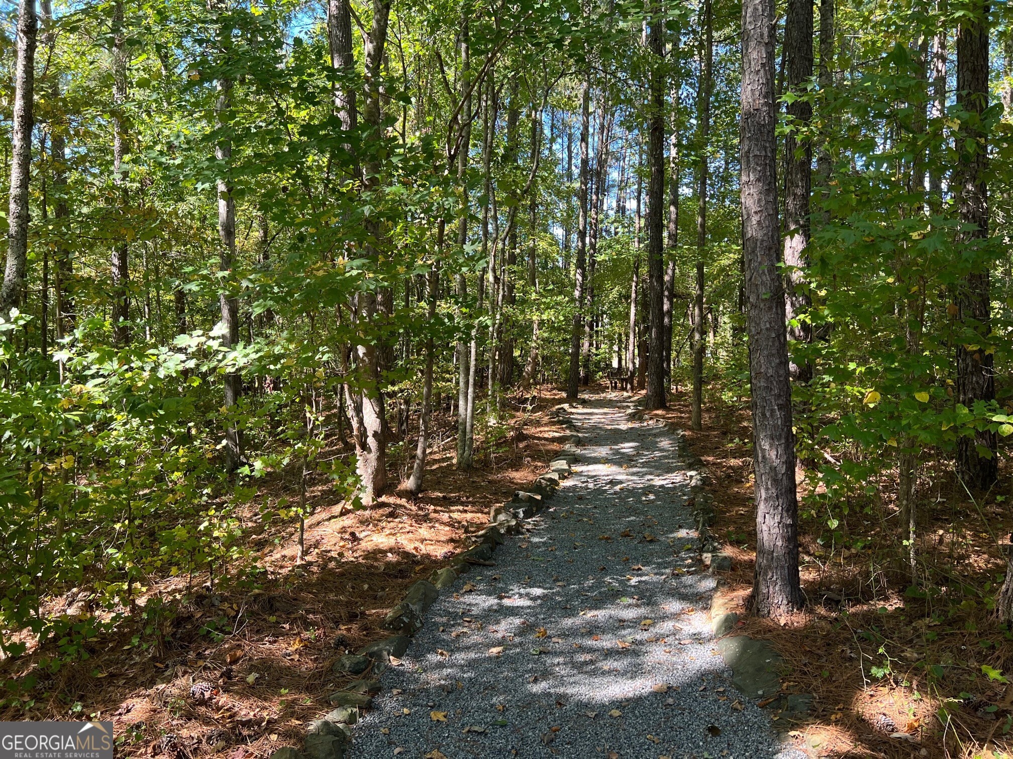 6218 Zell Miller Path Nw Property Photo 25