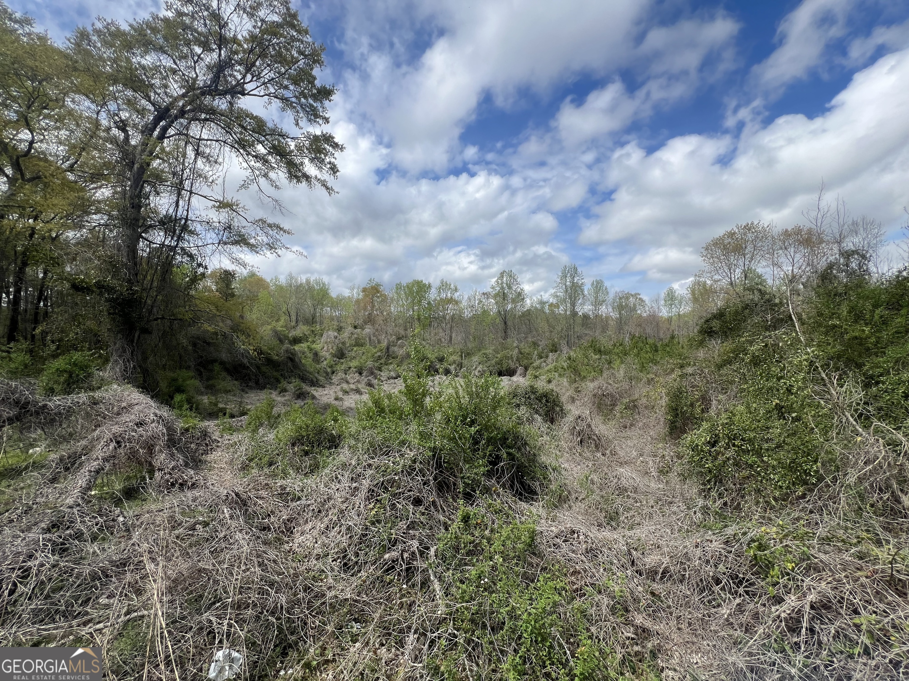 1029 Cr- 474 Property Photo 2