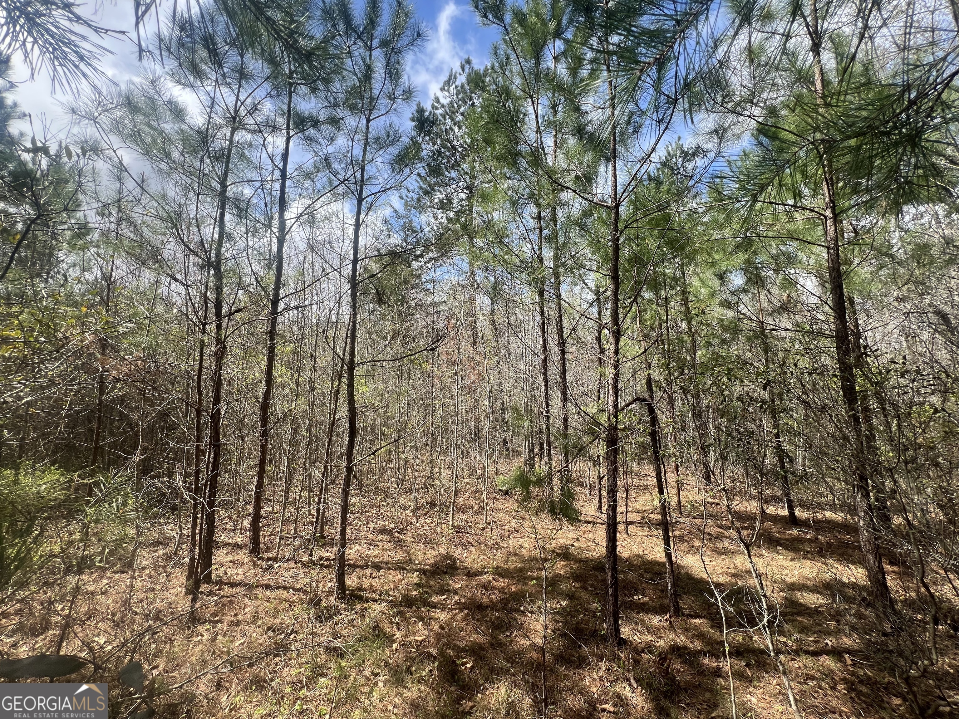 1029 Cr- 474 Property Photo 6