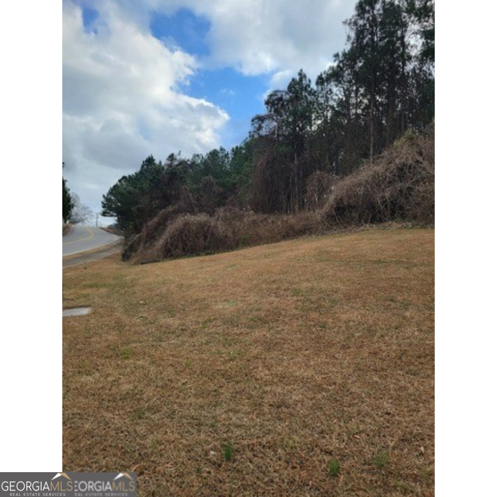 175 Old Peachtree Road Property Photo 1