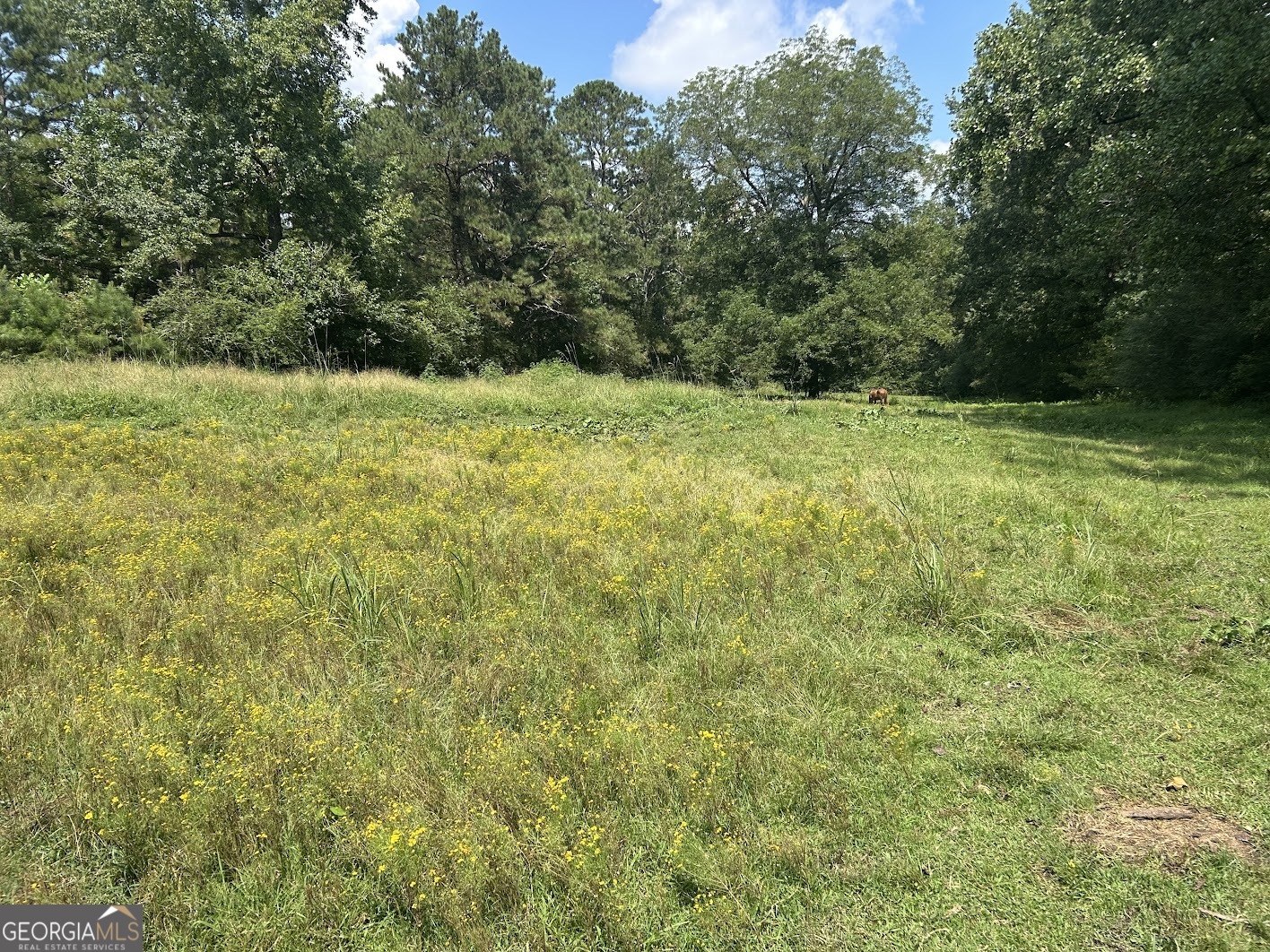 0 Attaway Road-9.22 Property Photo 6