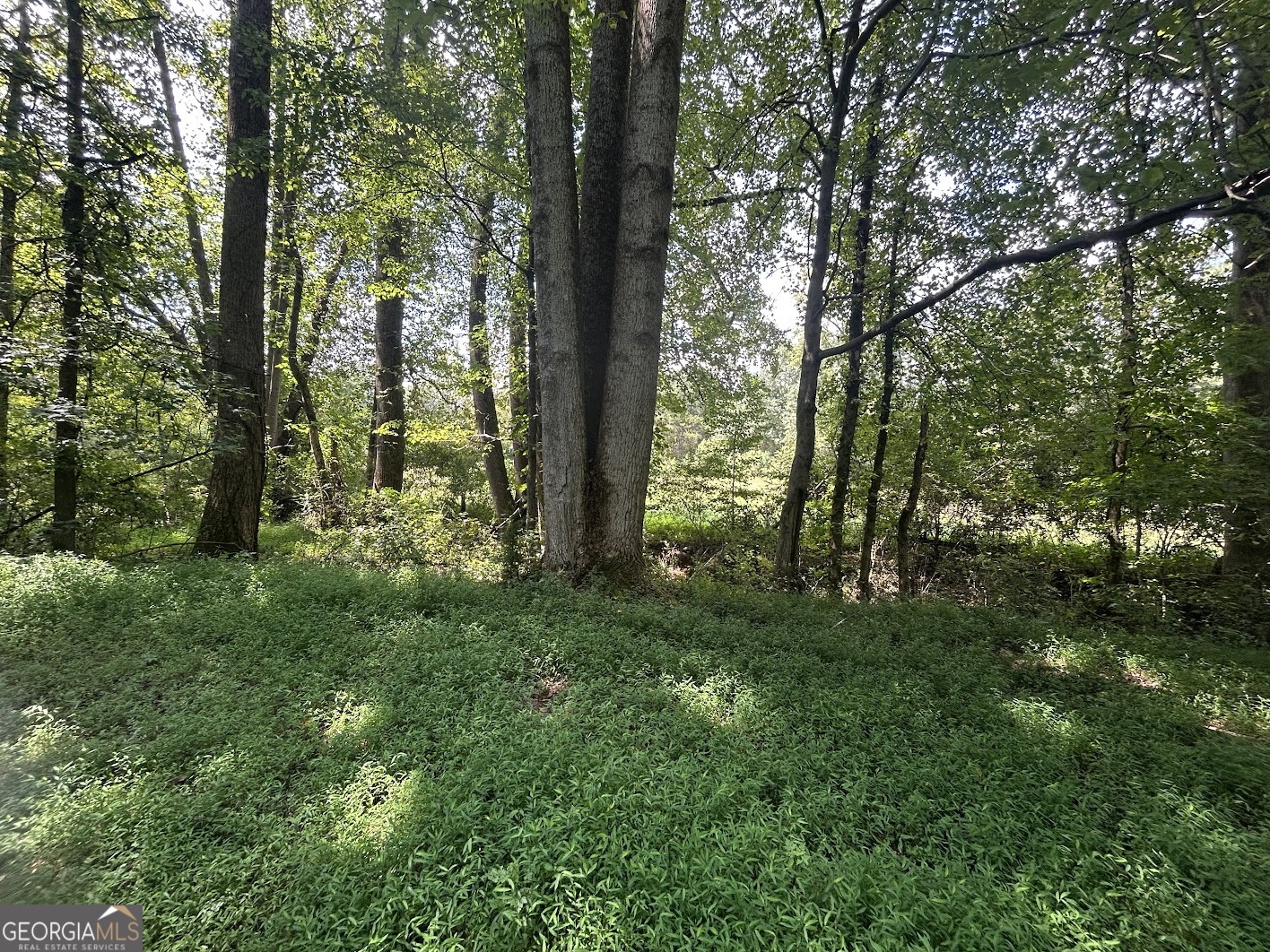 0 Attaway Road-9.22 Property Photo 11