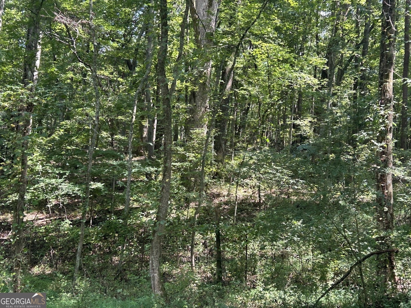 0 Attaway Road-9.22 Property Photo 20