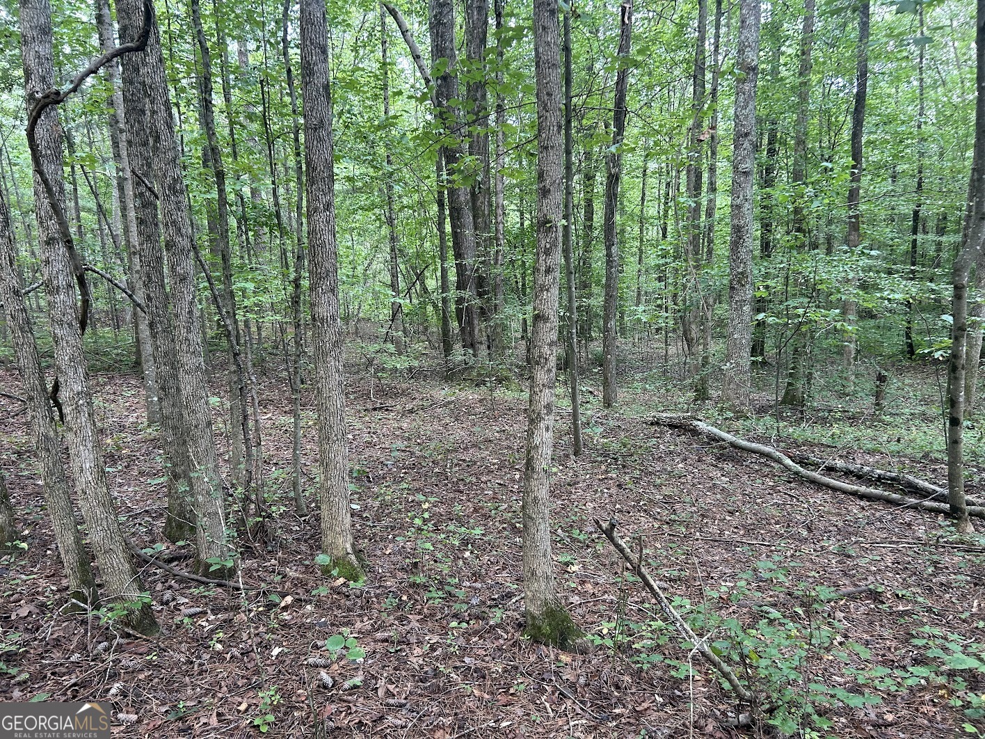0 Attaway Road-9.22 Property Photo 22