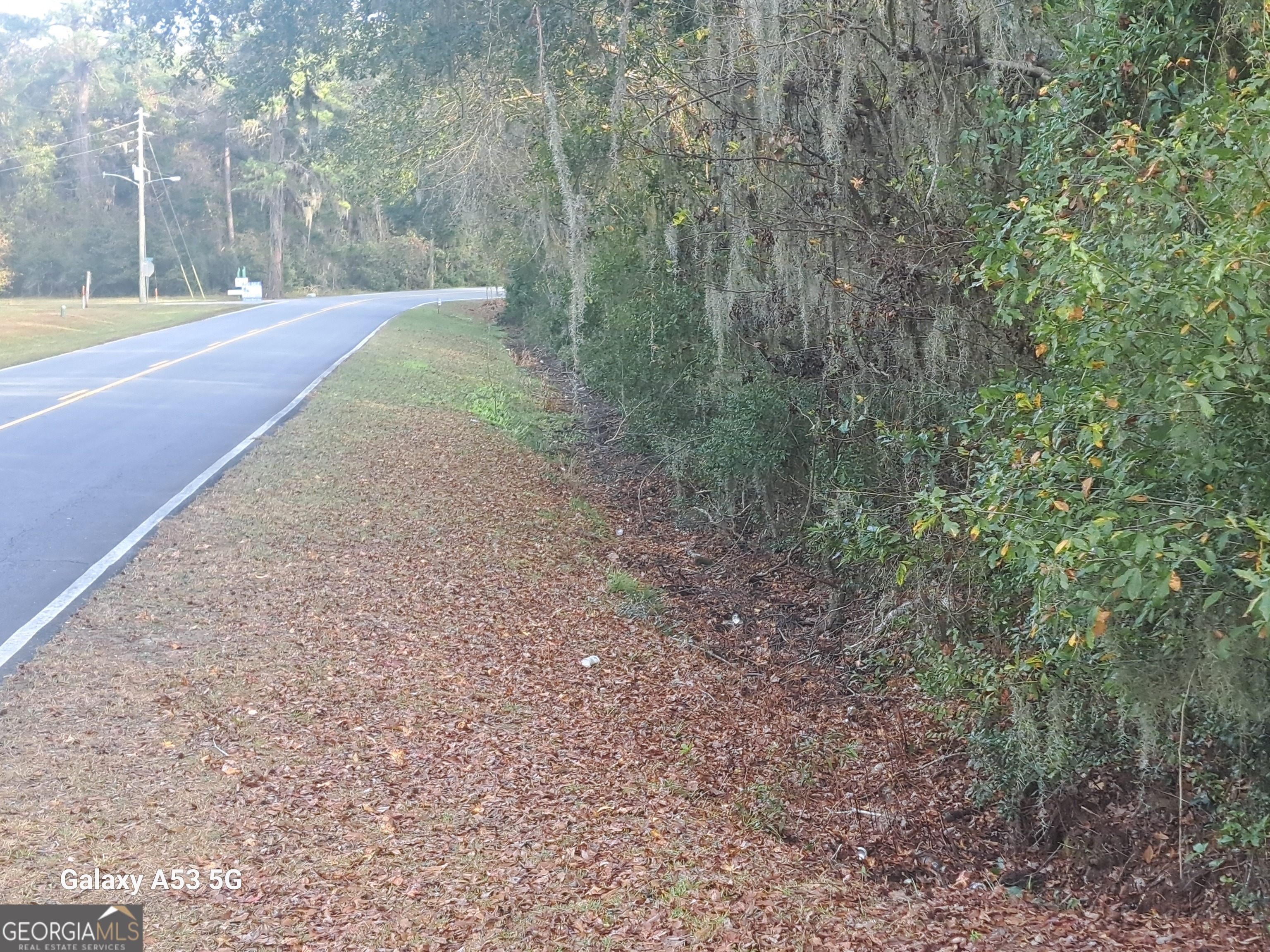 0 Dover Bluff Road Property Photo 4