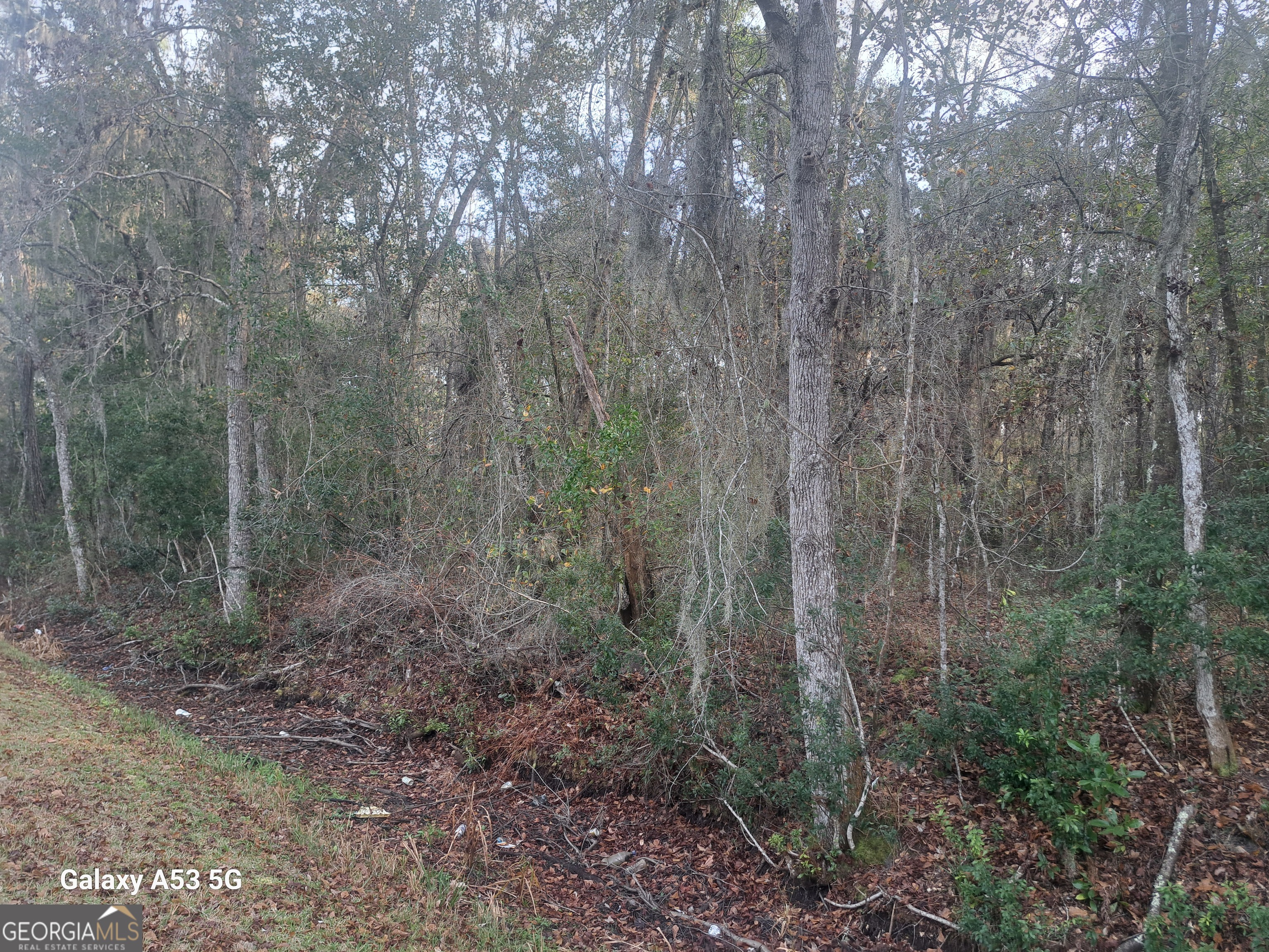 0 Dover Bluff Road Property Photo 6