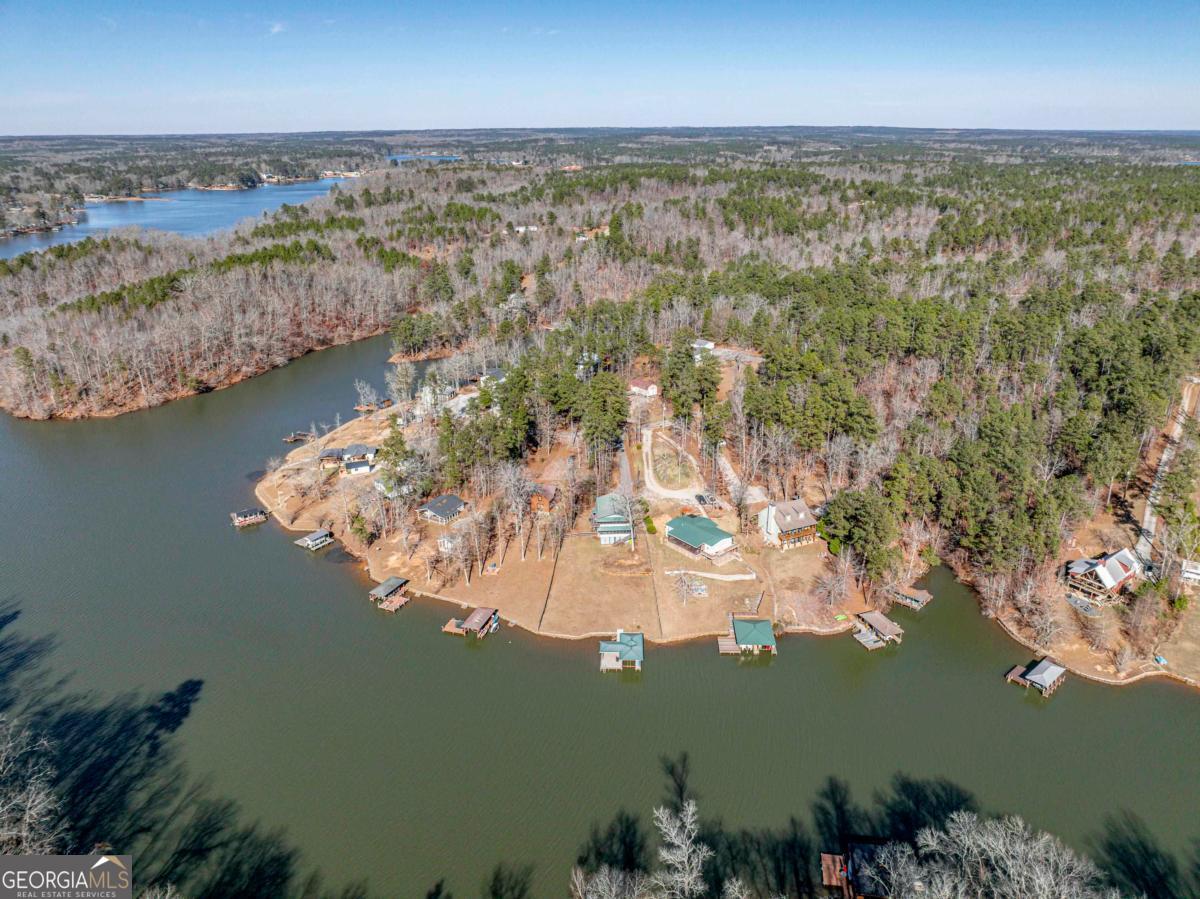 219 Hickory Pass Property Photo 59