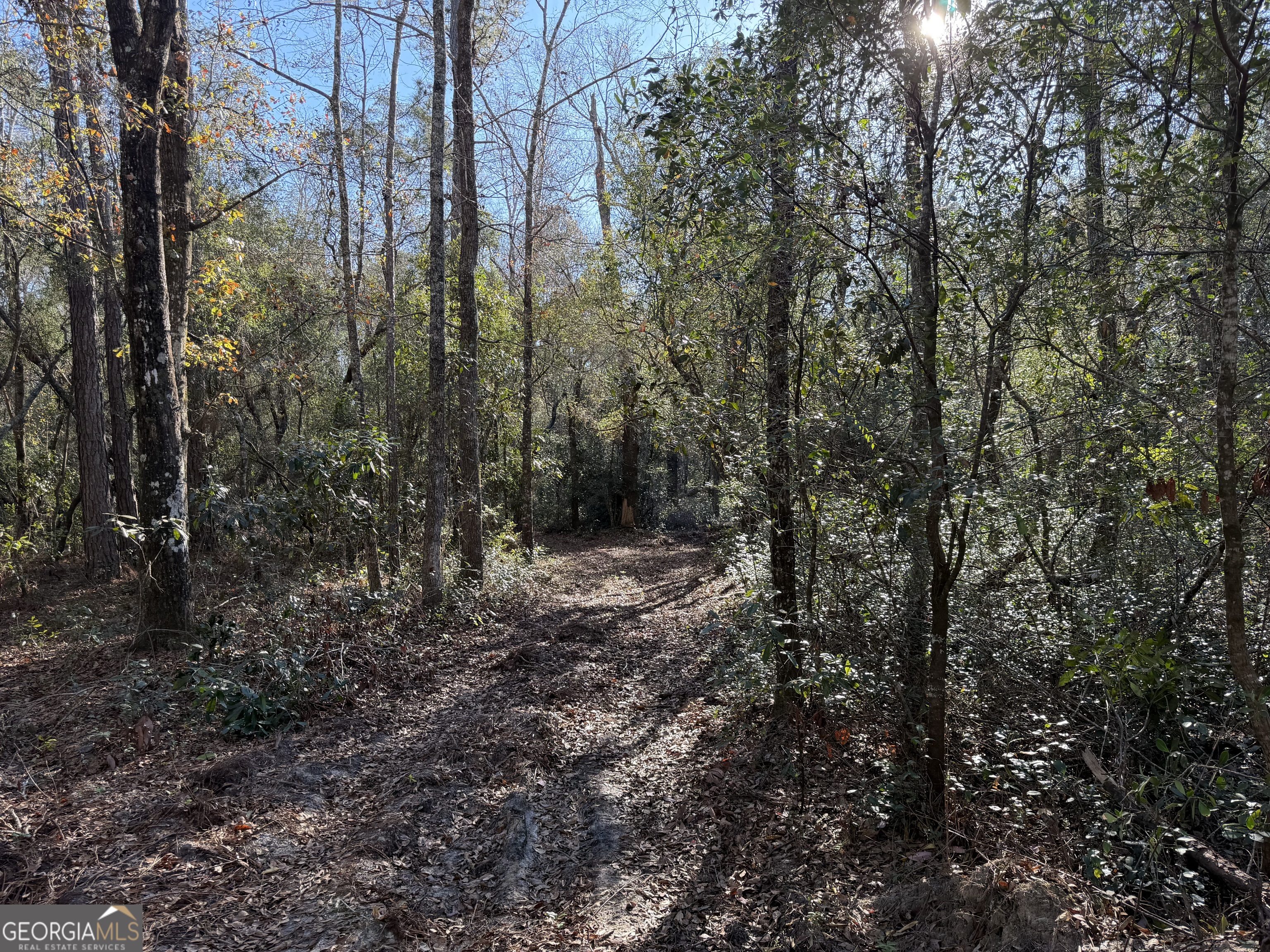 3833 Old Louisville Road Property Photo 1