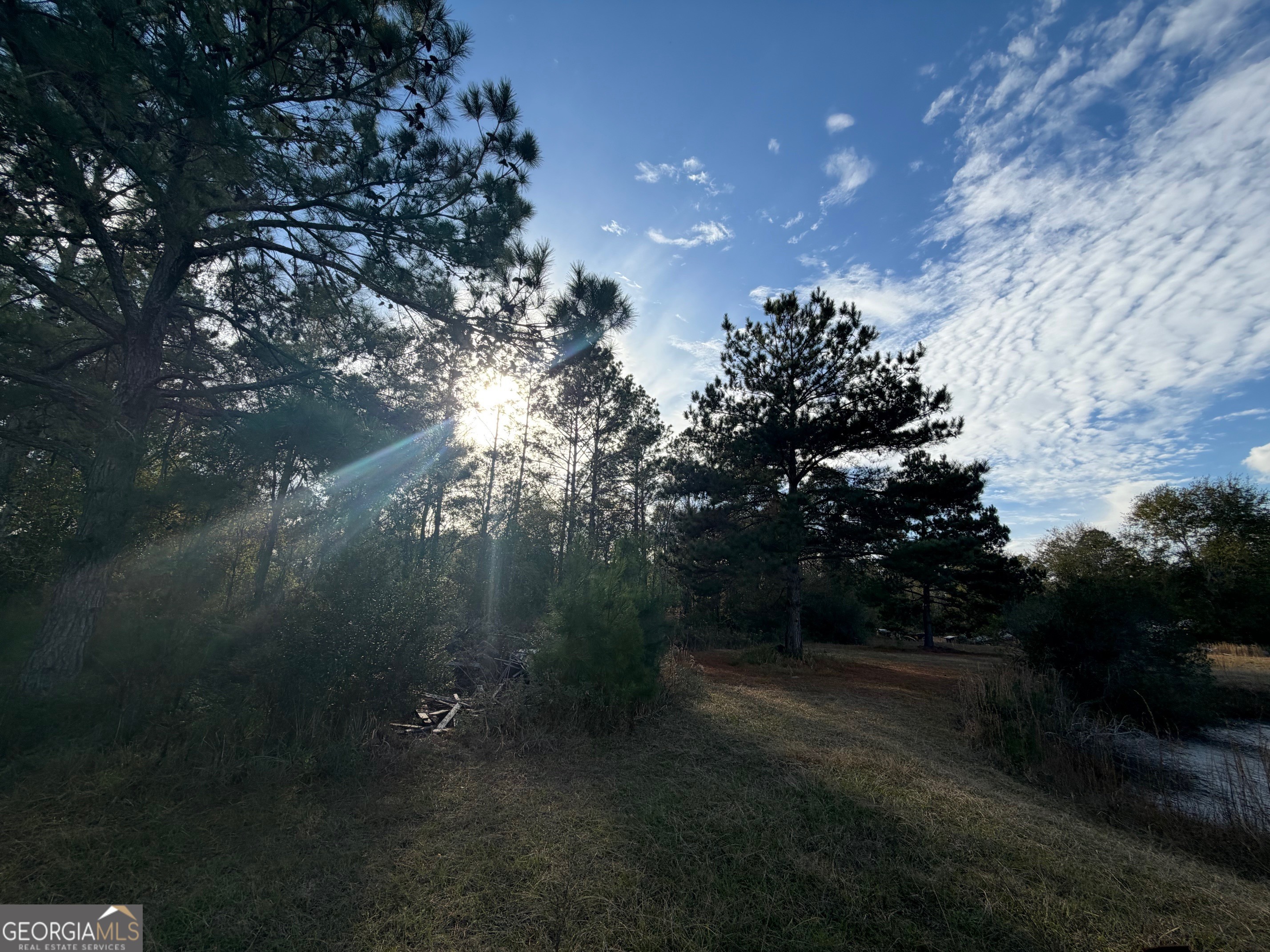 1180 Farm Road Property Photo 6