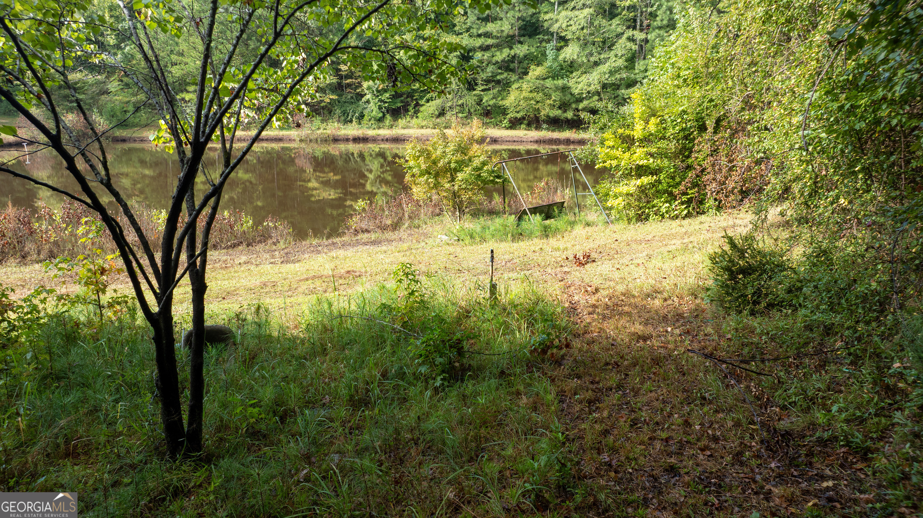 58.99 Acres Bear Creek Road Property Photo 1