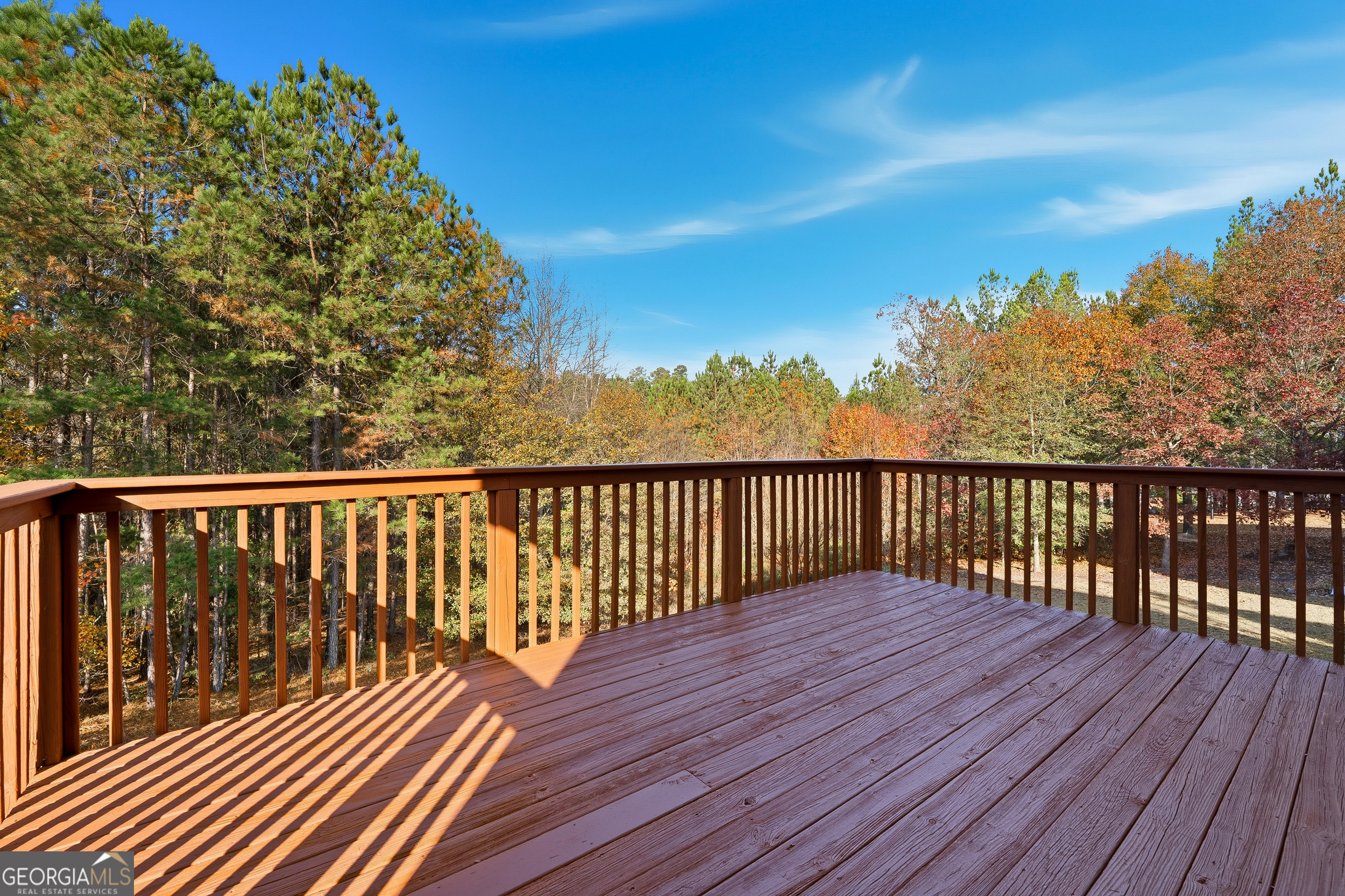1405 Bramlett Forest Trail Property Photo 43