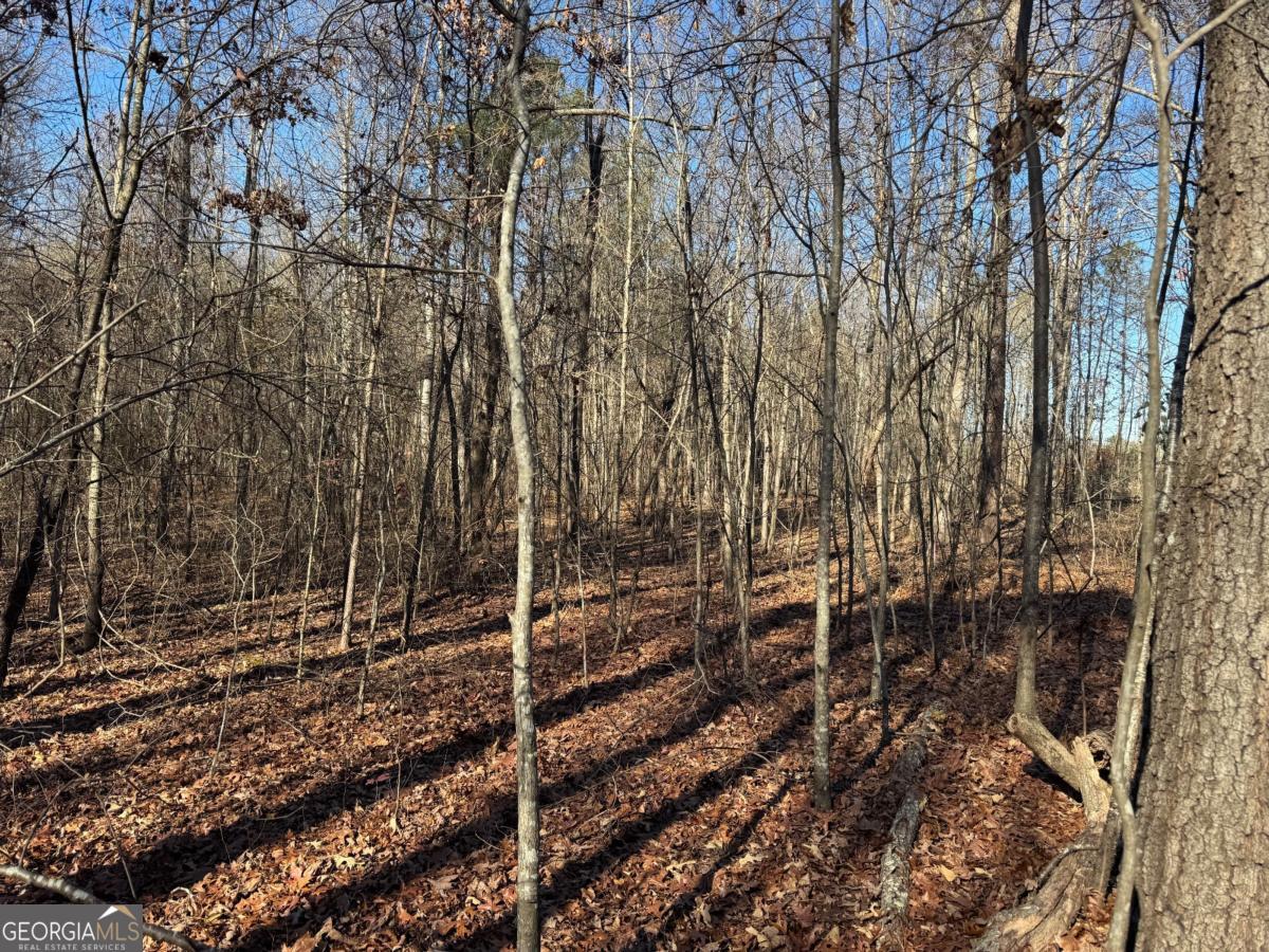 6601 Hog Mountain Hwy - Hwy 53 Property Photo 4