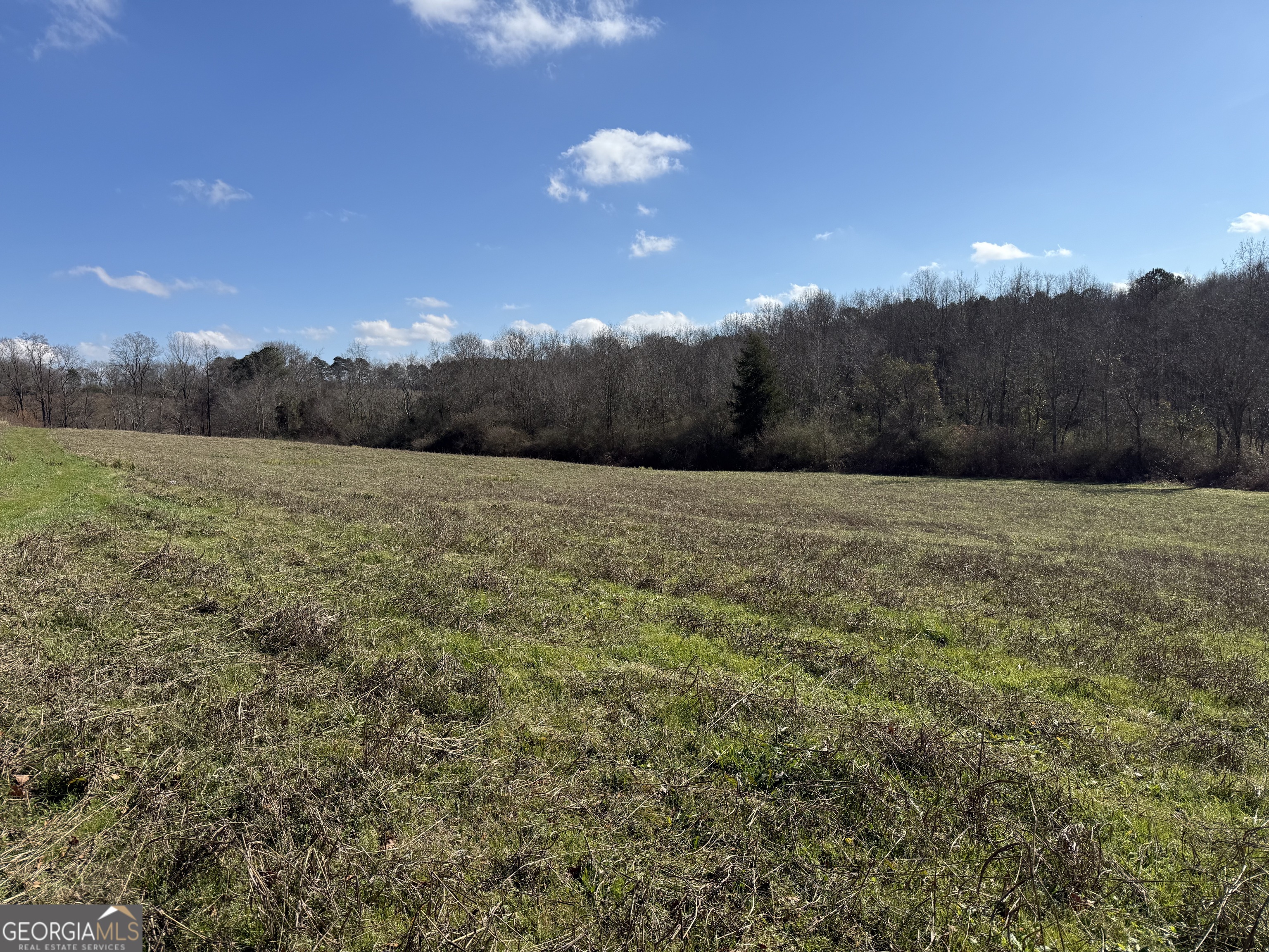 10869 County Road 92 Property Photo 10