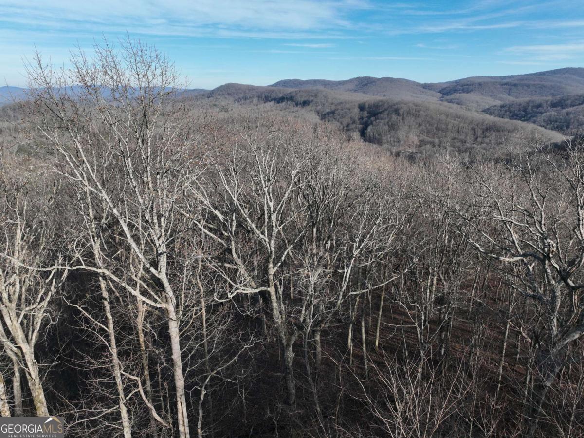 275 Andes Ridge Property Photo 17