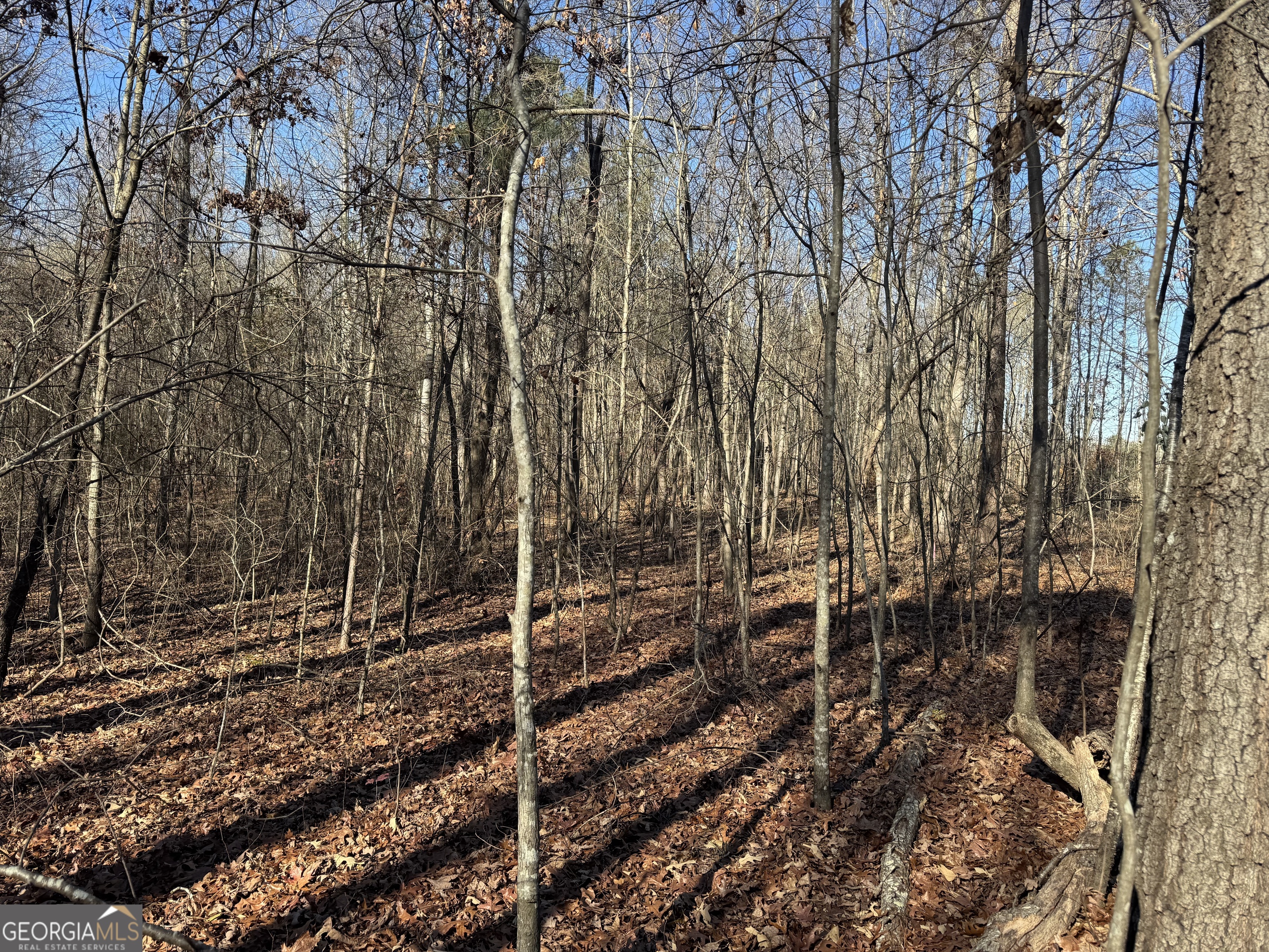 4611 Monroe Hwy - Hwy 78 Property Photo 6