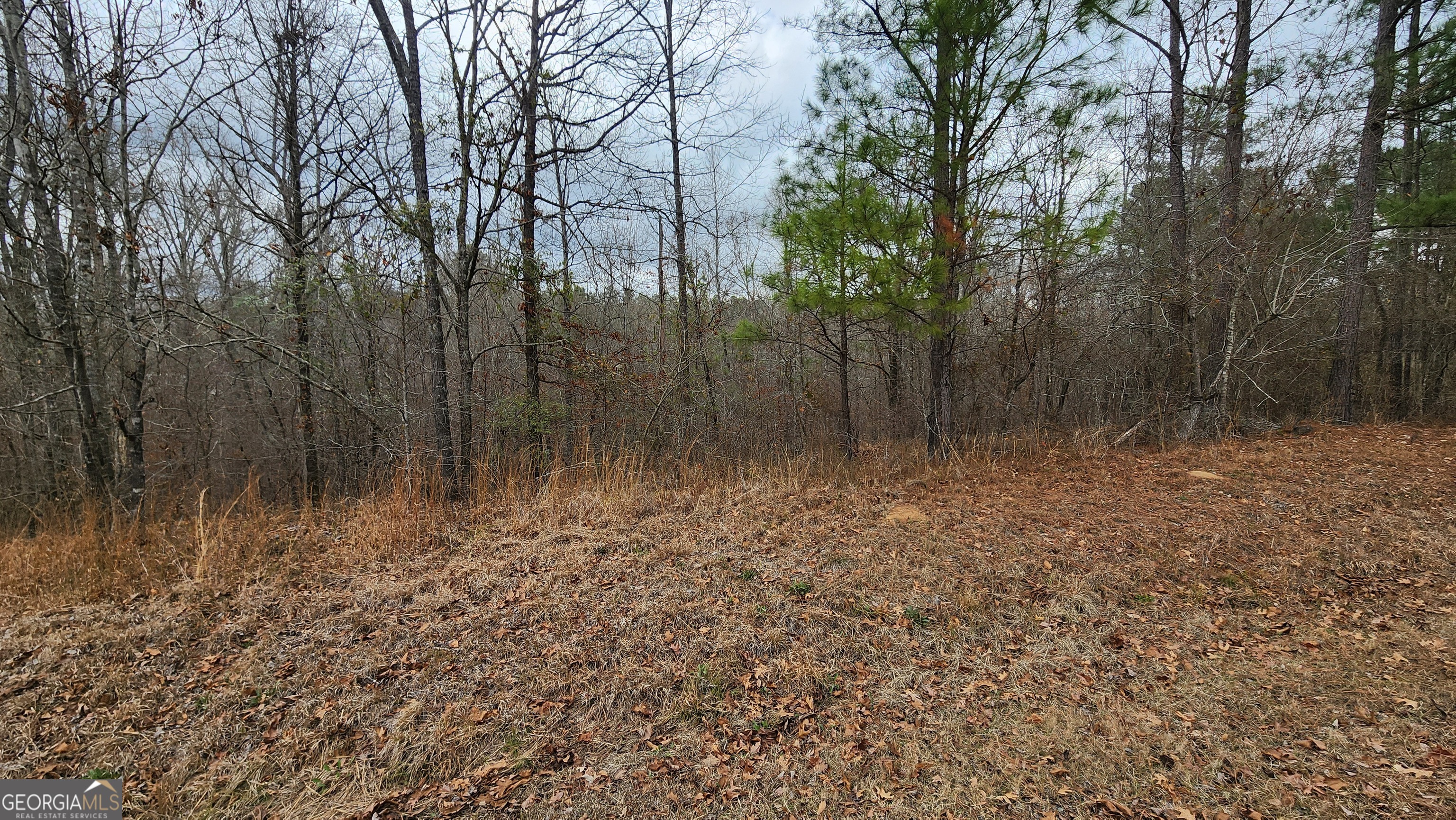 0 Ethridge Place Property Photo 2