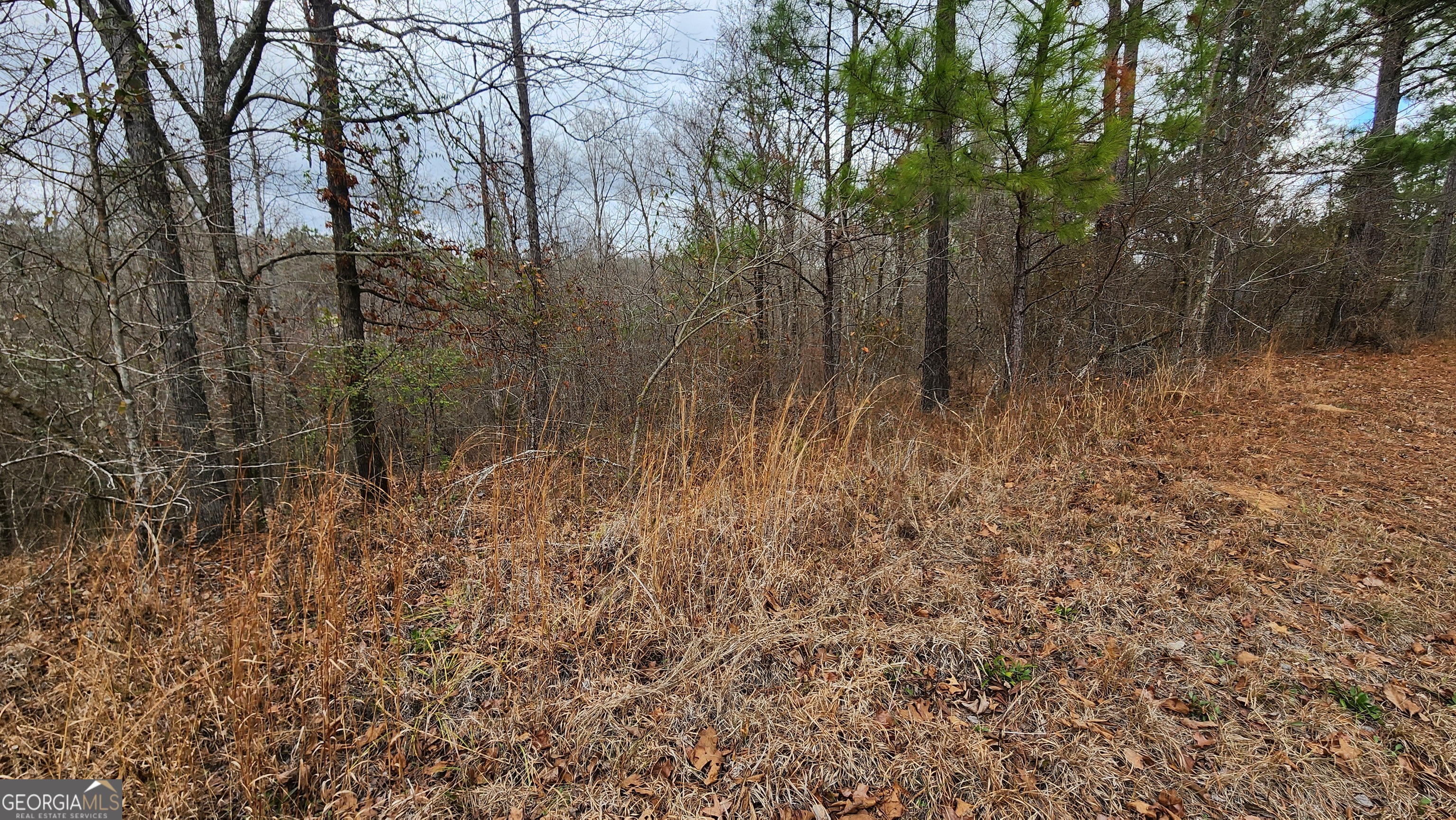 0 Ethridge Place Property Photo 3